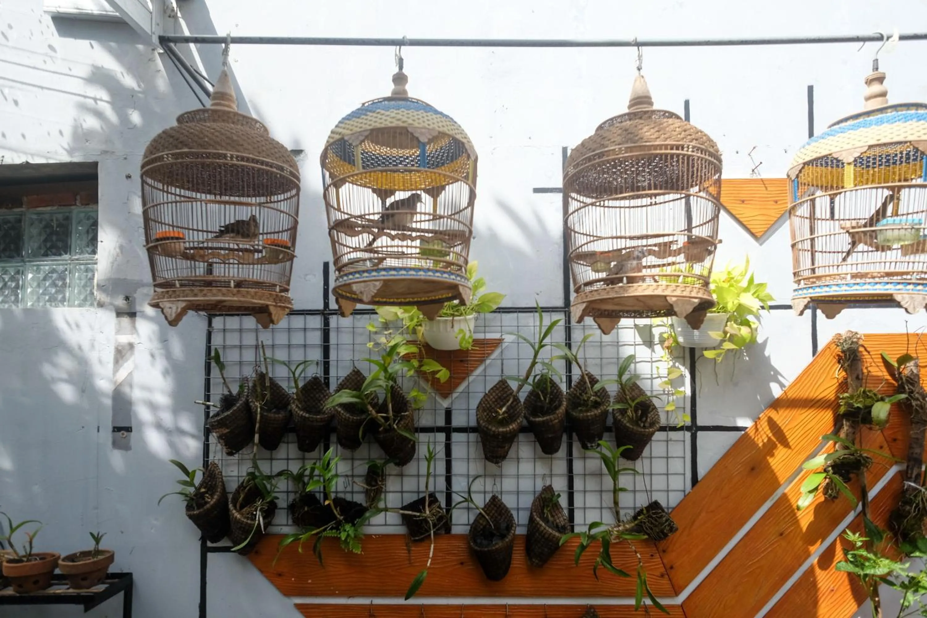 Garden in RedDoorz Syariah near Kampus UNSOED Purwokerto