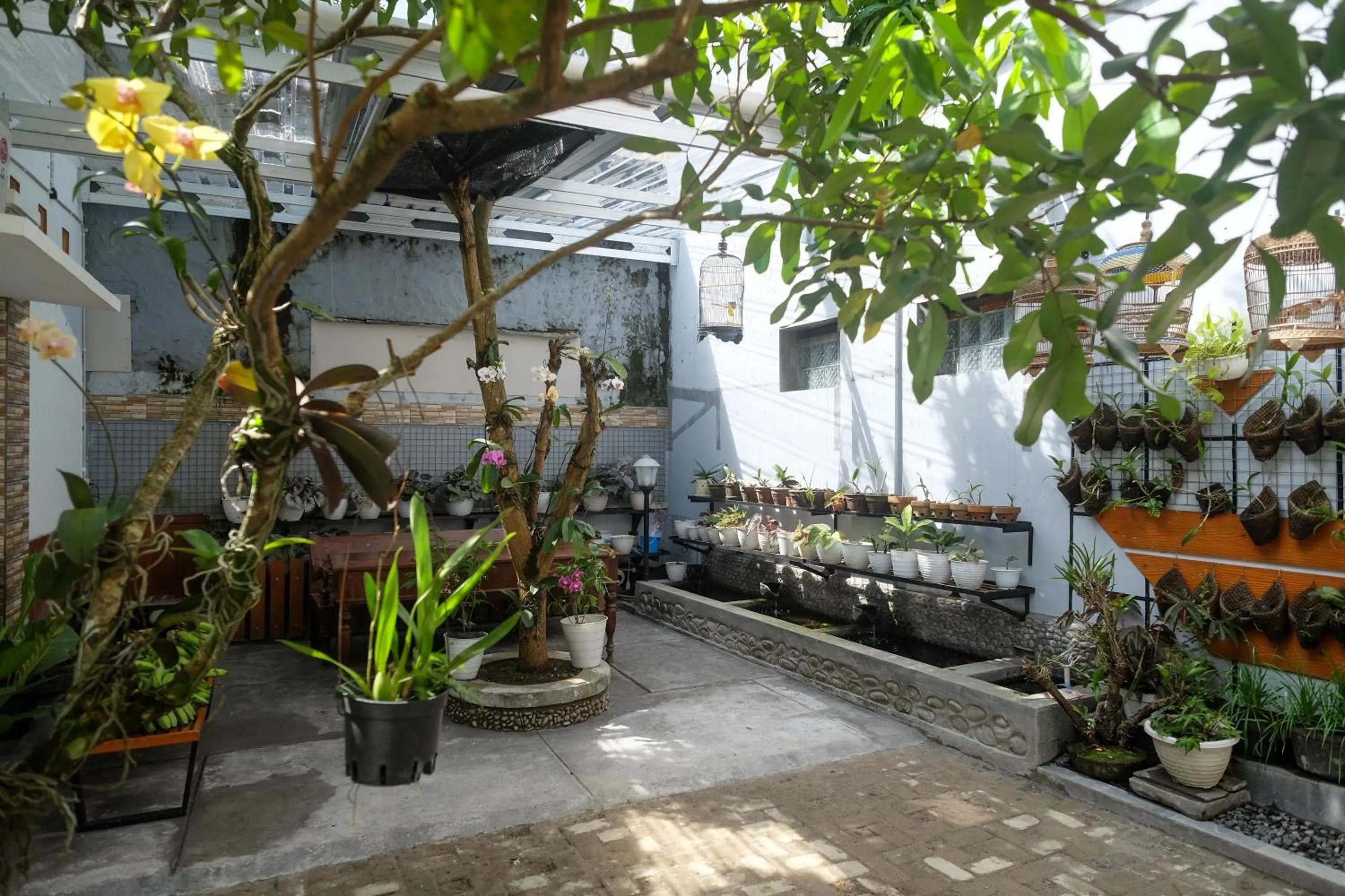Garden in RedDoorz Syariah near Kampus UNSOED Purwokerto