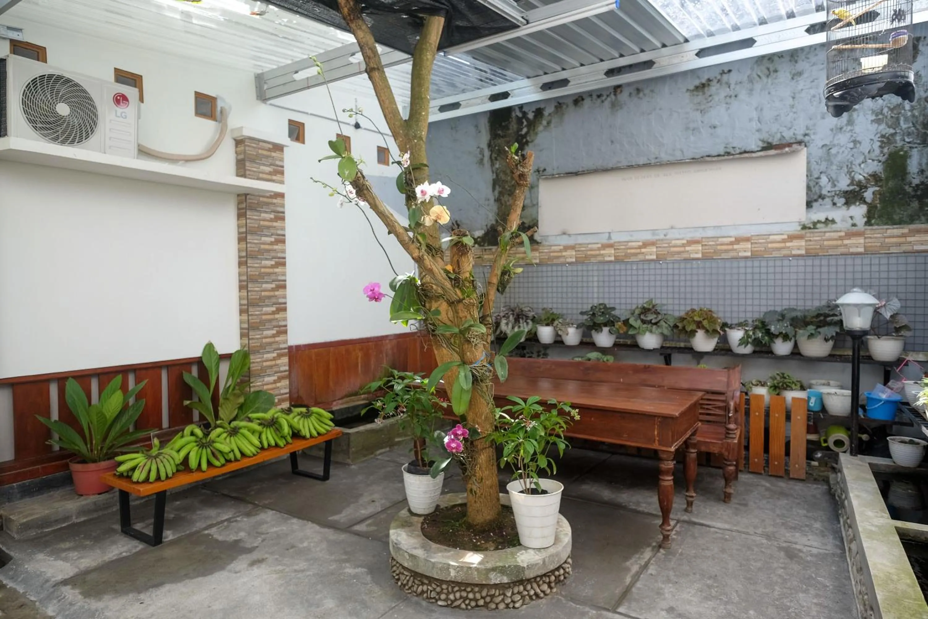 Garden in RedDoorz Syariah near Kampus UNSOED Purwokerto