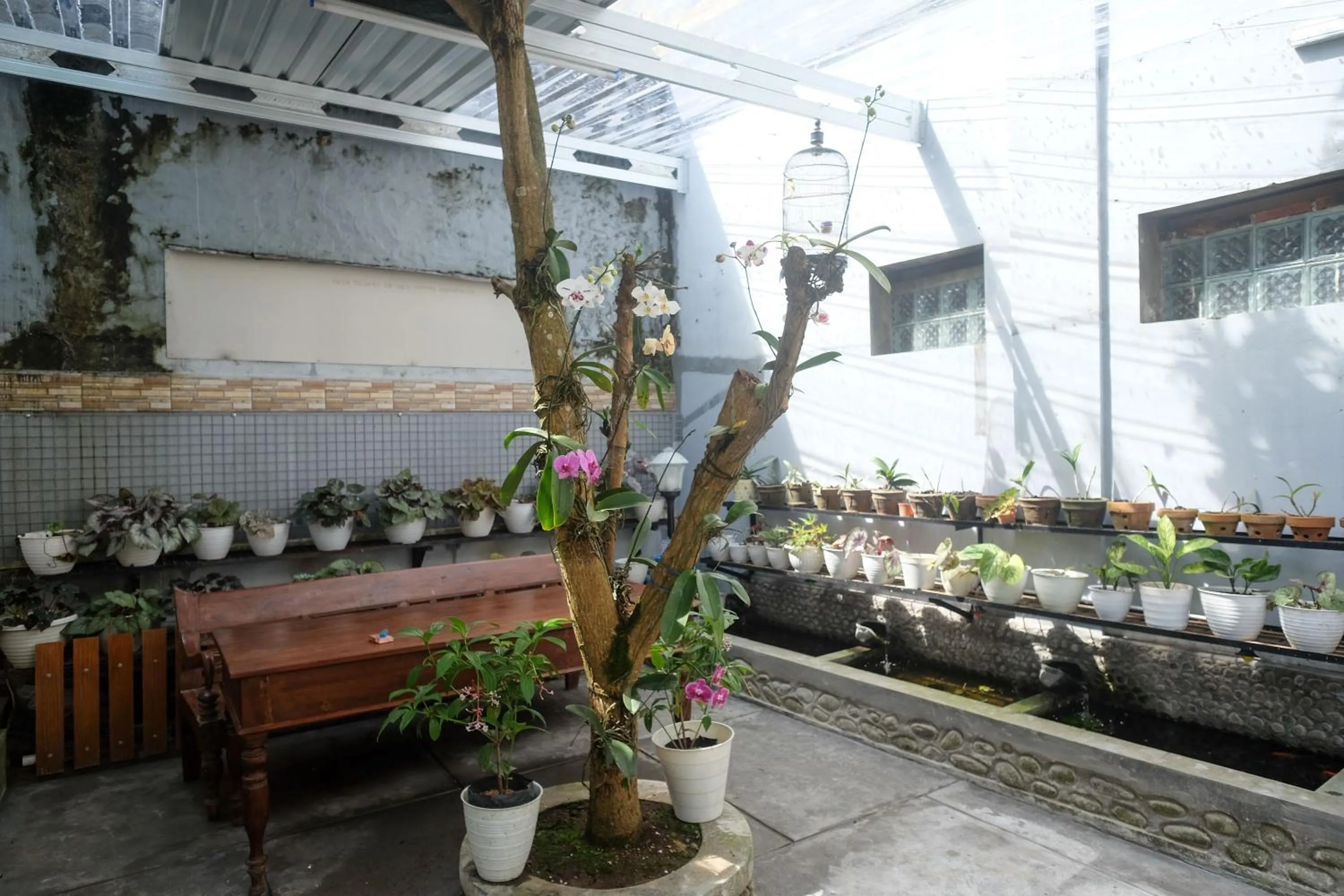 Garden in RedDoorz Syariah near Kampus UNSOED Purwokerto