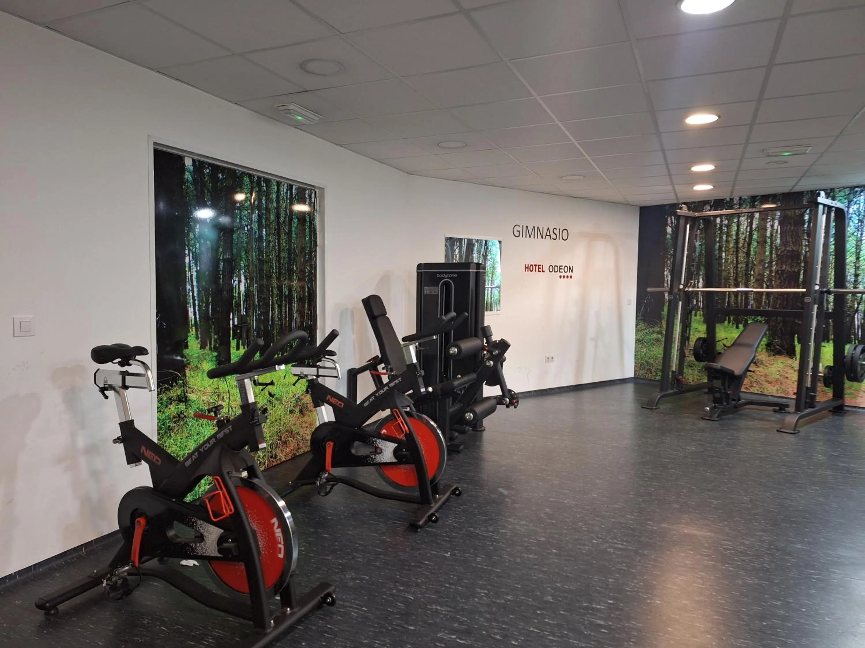 Fitness centre/facilities in Hotel Spa Odeón
