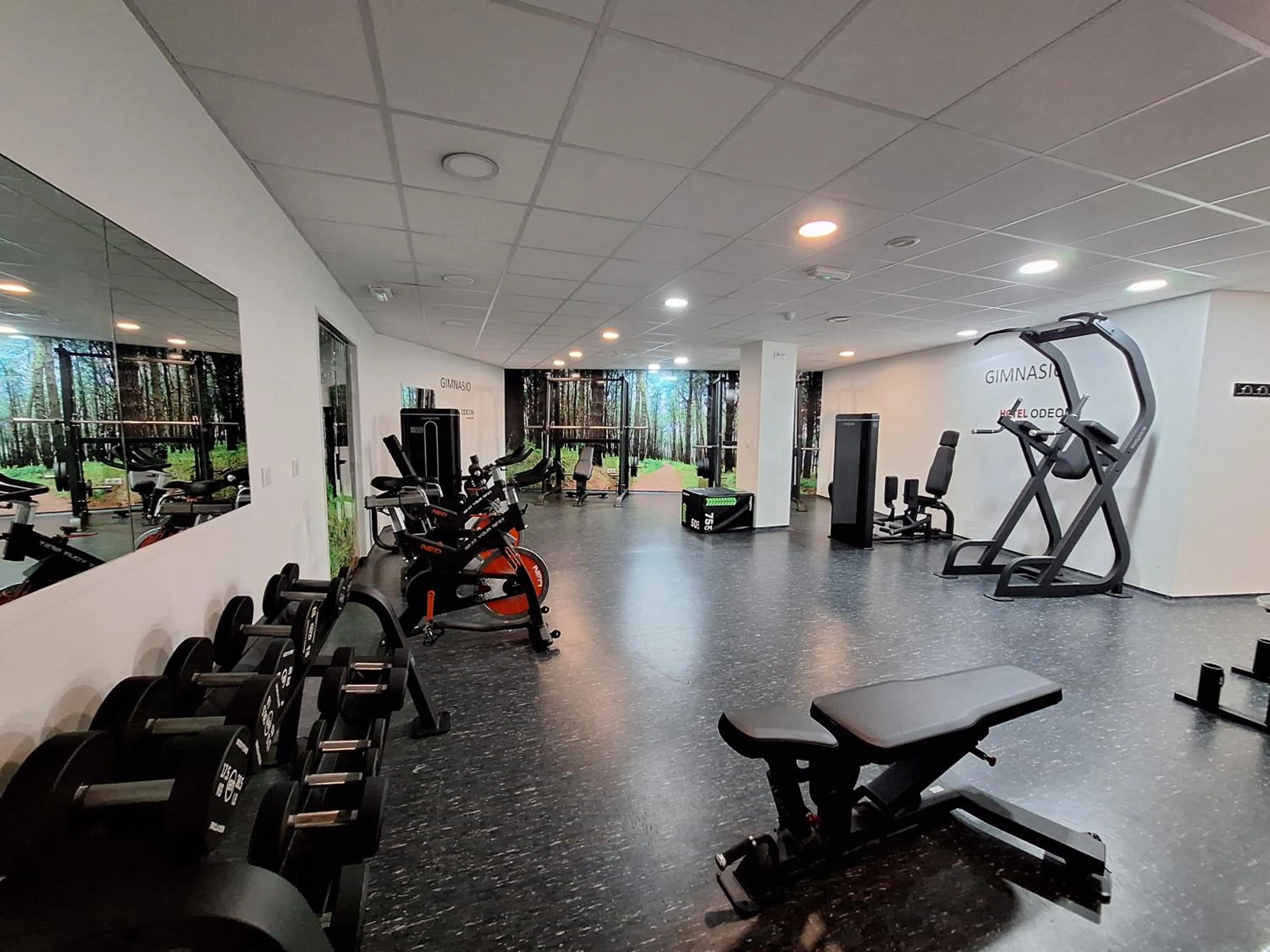 Fitness centre/facilities in Hotel Spa Odeón