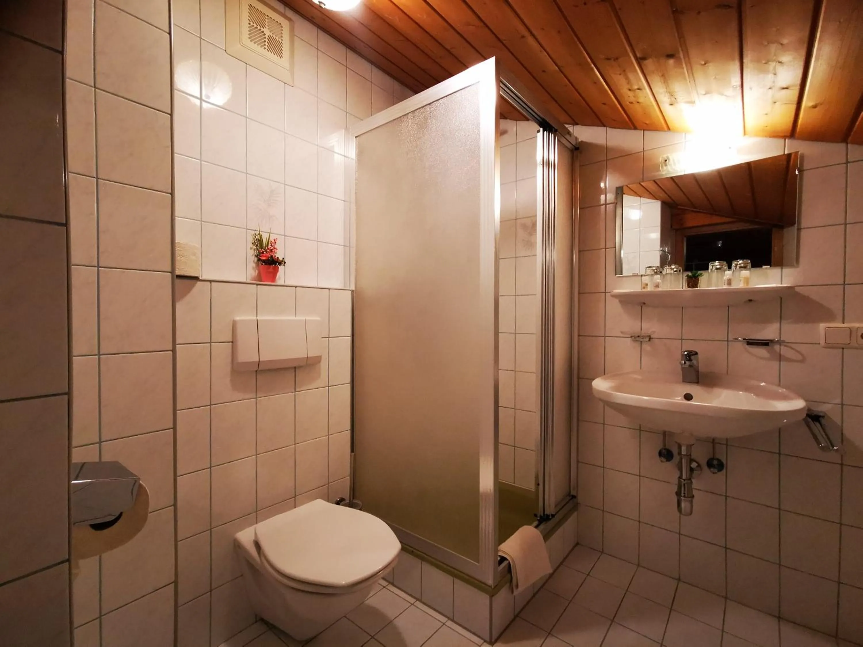 Shower in Gasthof Geronimo