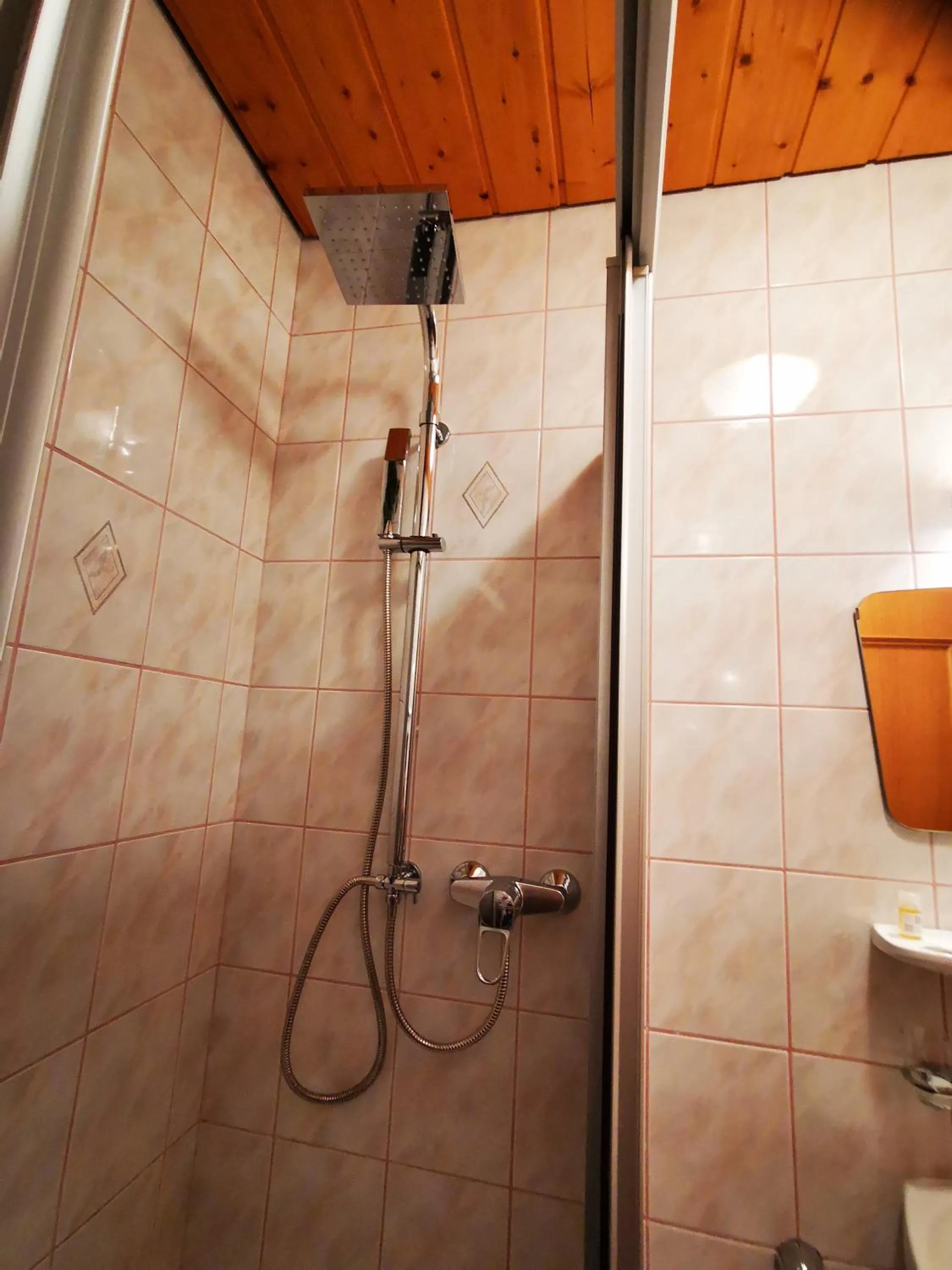 Shower in Gasthof Geronimo