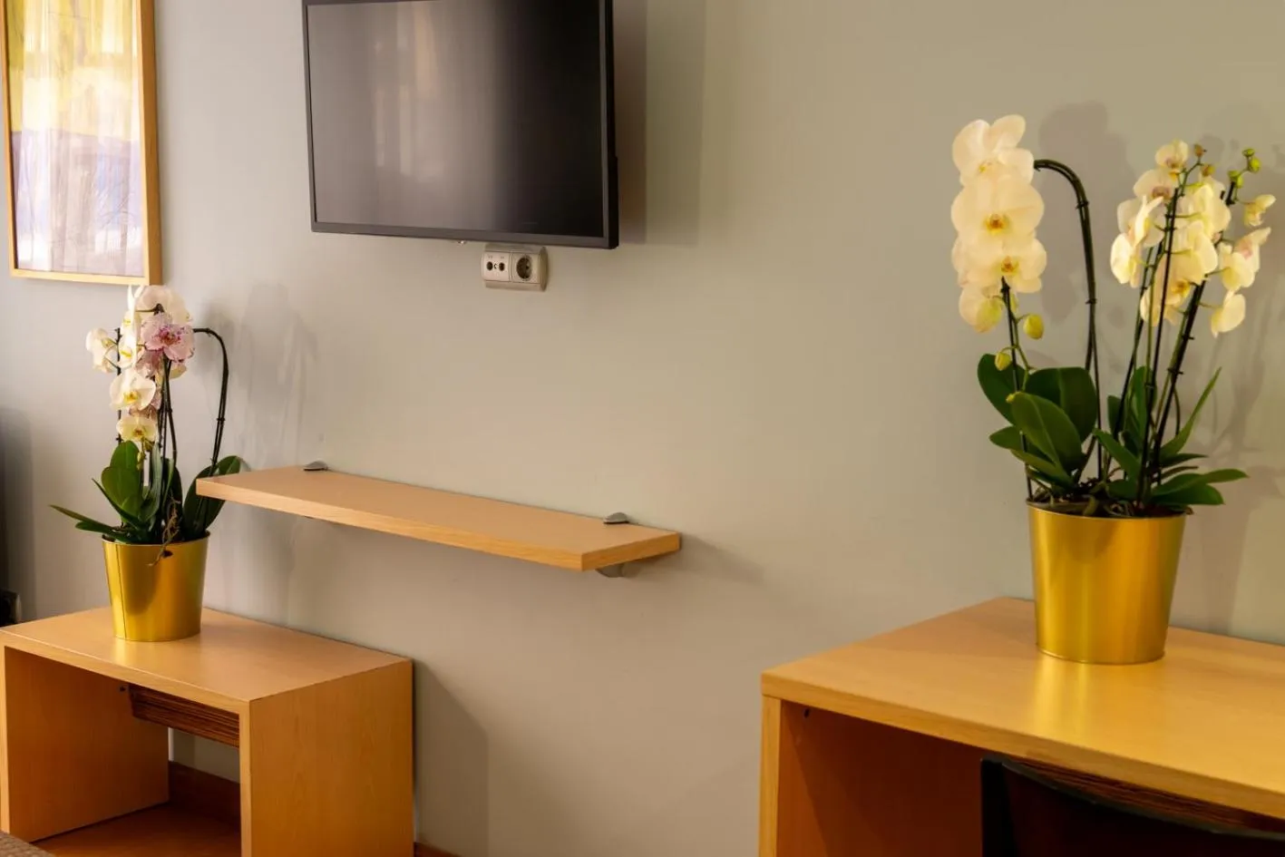 TV and multimedia in Hotel Faranda Alisas Santander, Ascend Hotel Collection