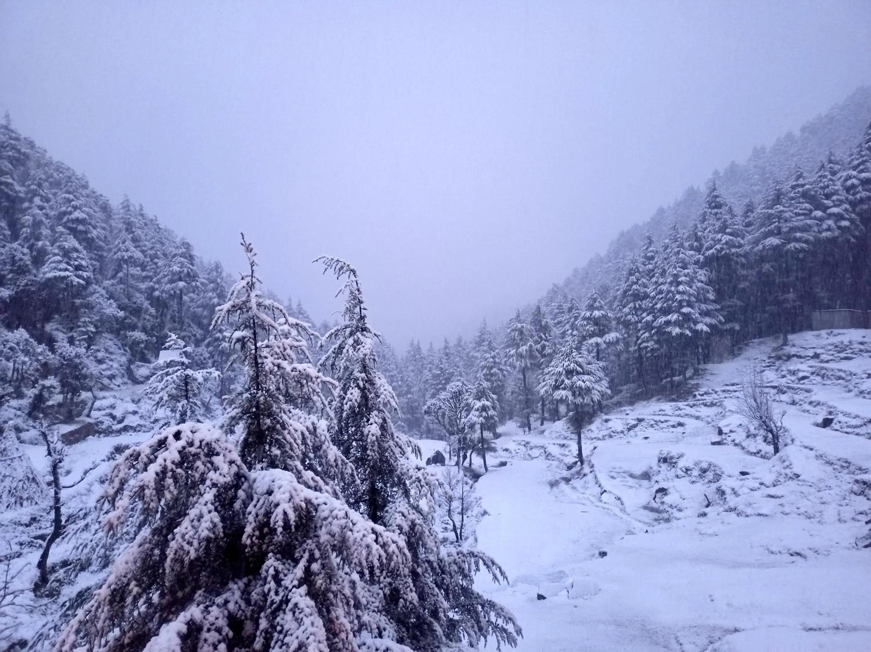 Natural landscape in WOW STAYZ2 Ashoka Grand