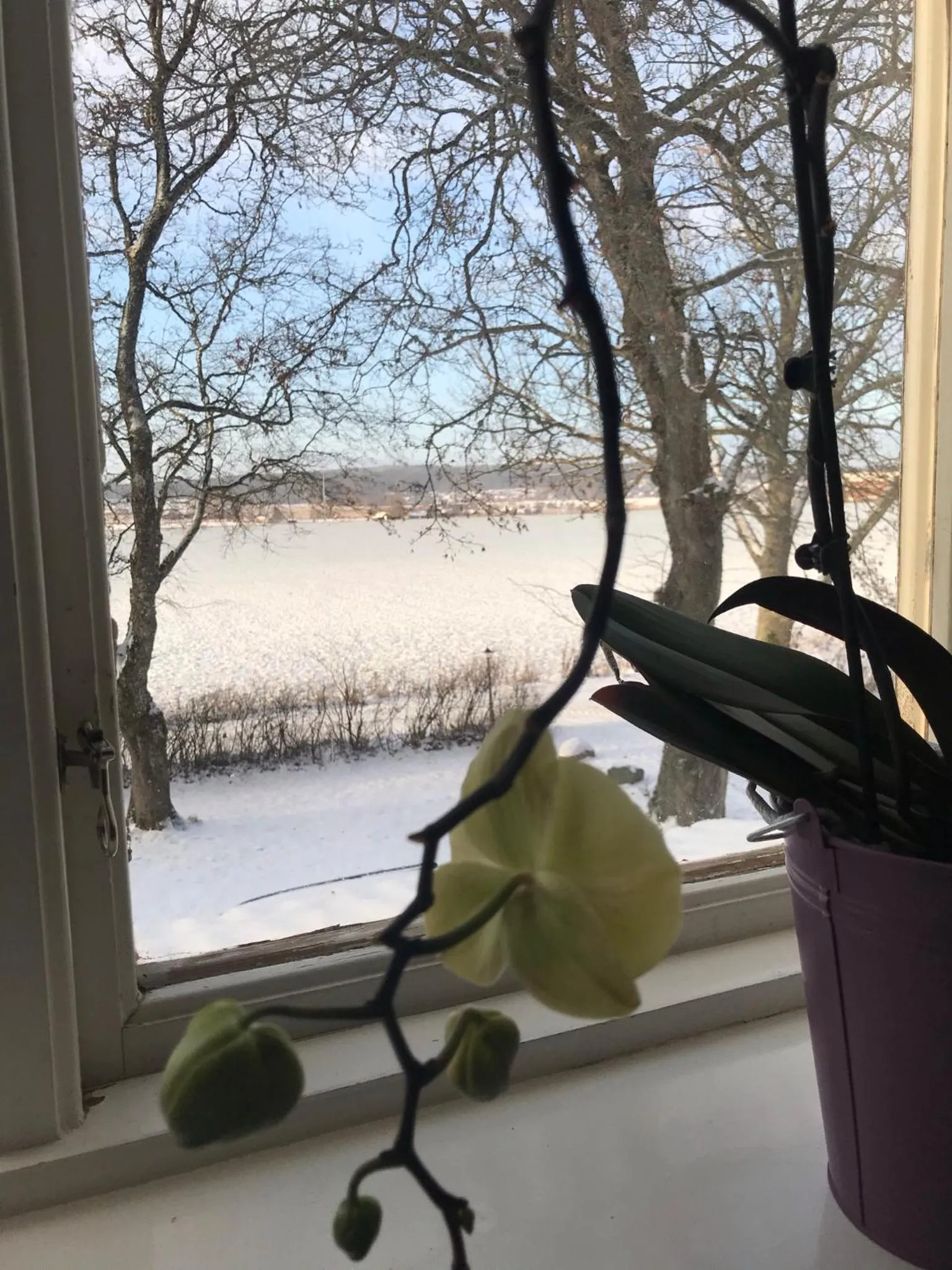 Garden view in Karaby Gård, Country Living