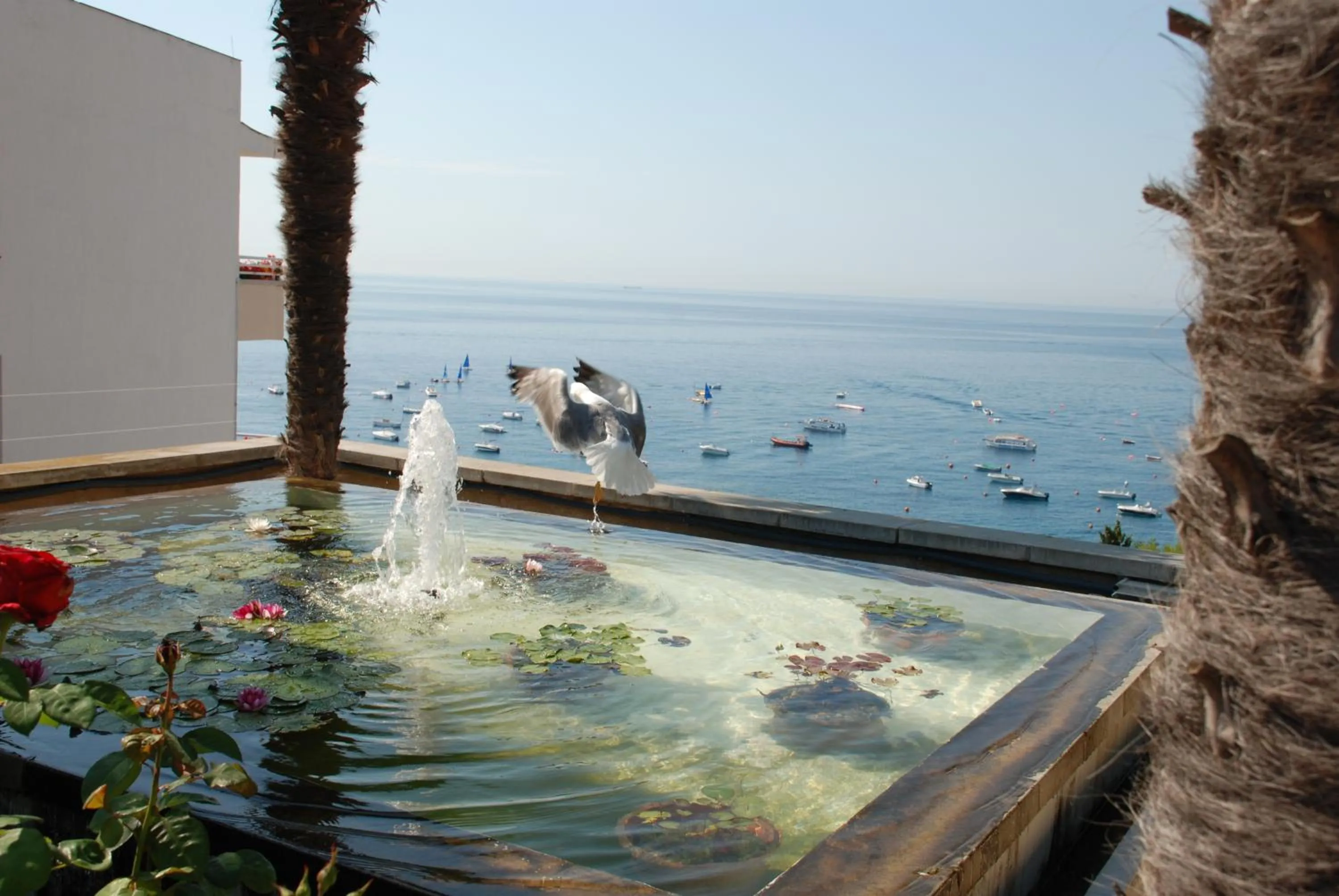 Garden in Gran Hotel Reymar 4 Sup