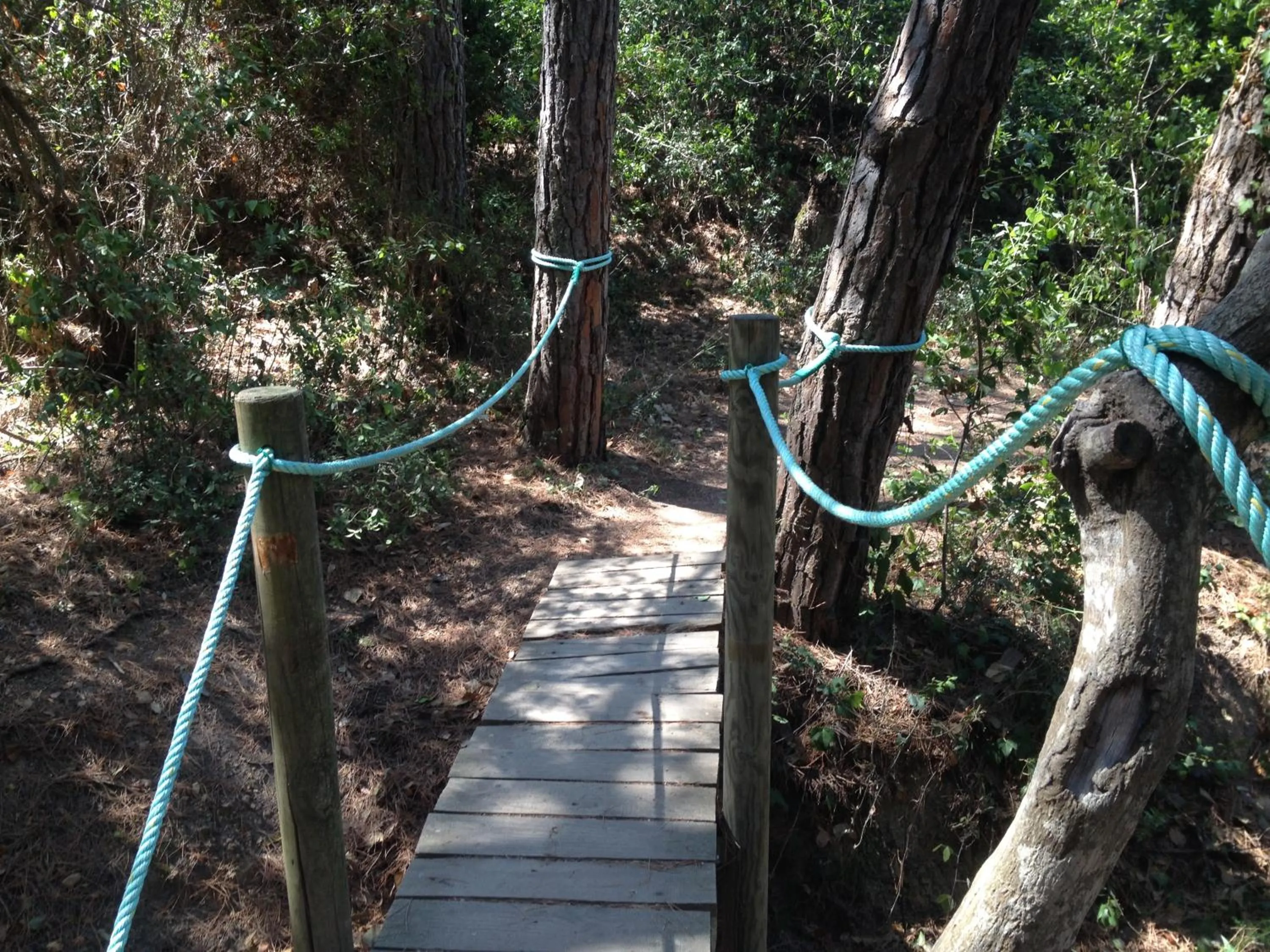 Natural landscape in Gran Hotel Reymar 4 Sup