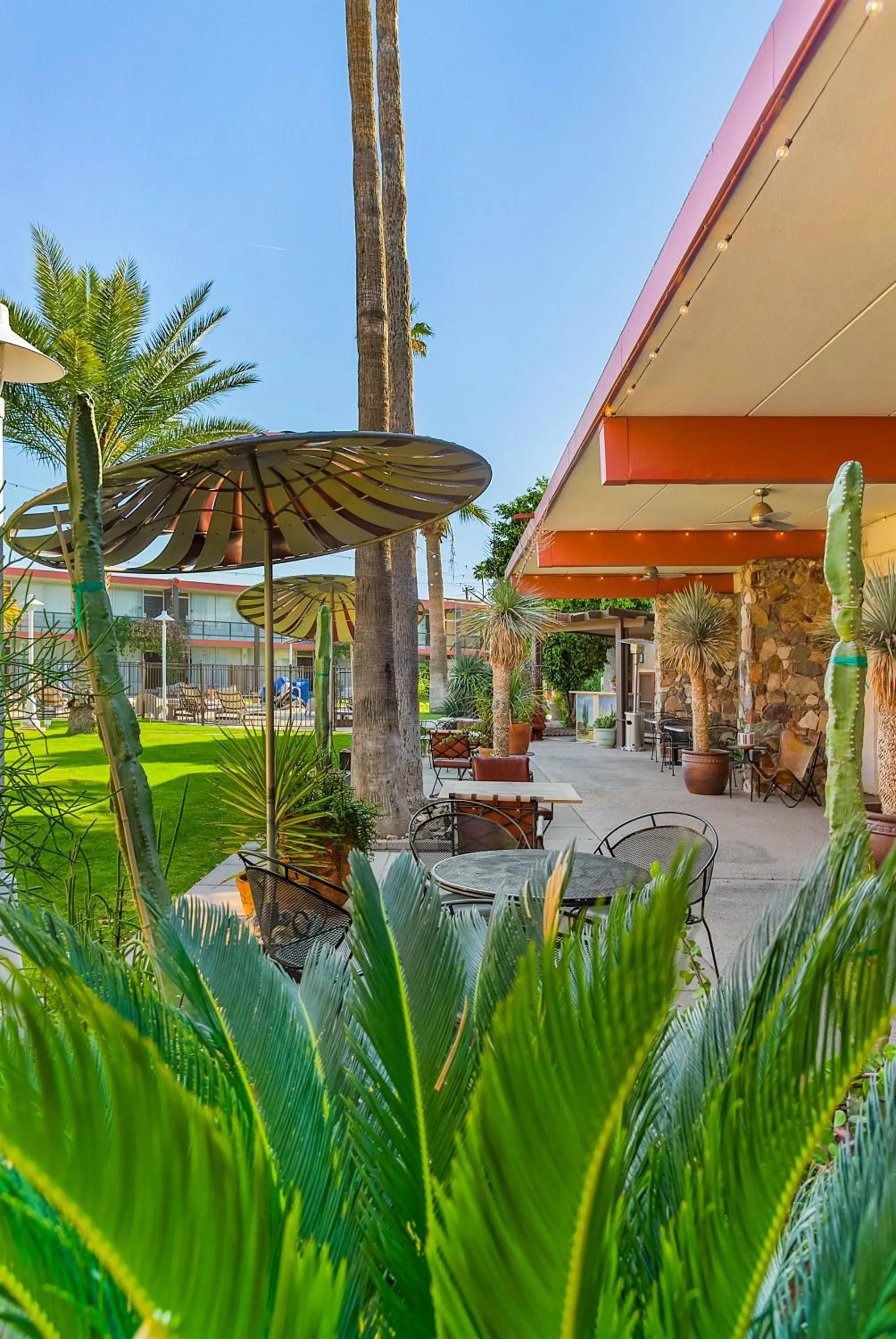 Garden in Papago Scottsdale by Reside, Trademark Collection by Wyndham