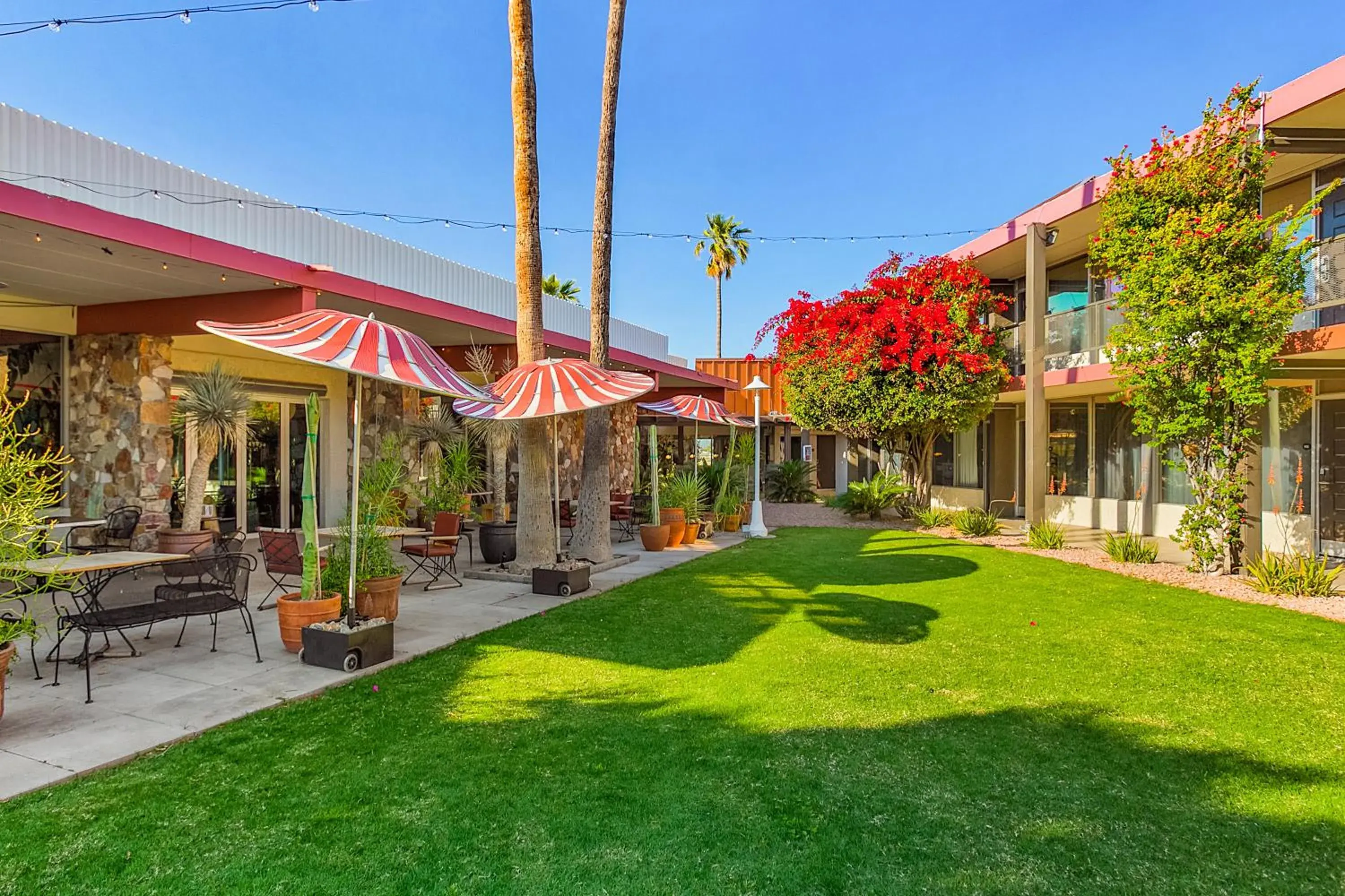 View (from property/room) in Papago Scottsdale by Reside, Trademark Collection by Wyndham View (from property/room) in Papago Scottsdale by Reside, Trademark Collection by Wyndham