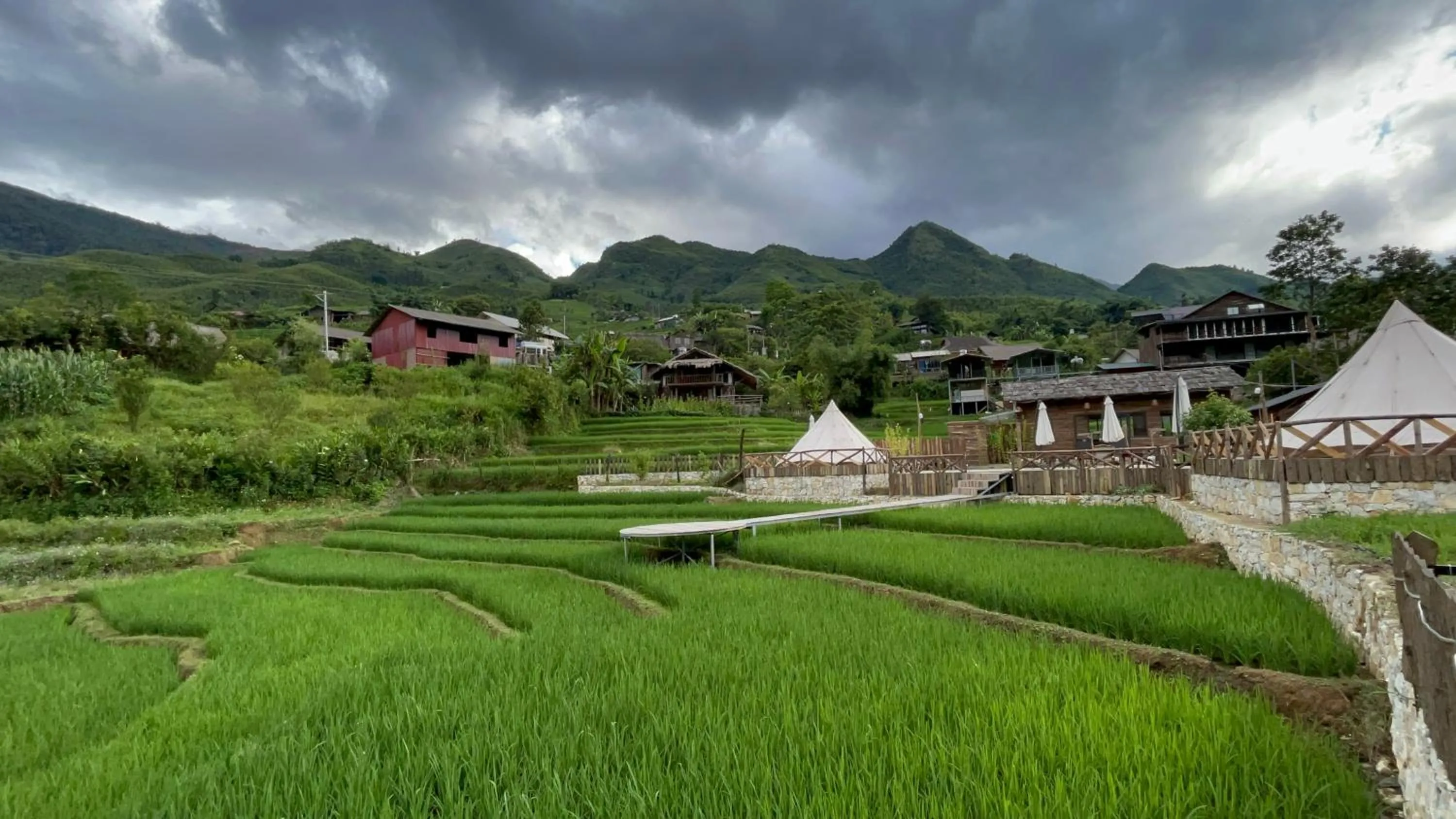 Natural landscape in S Plus Bungalow