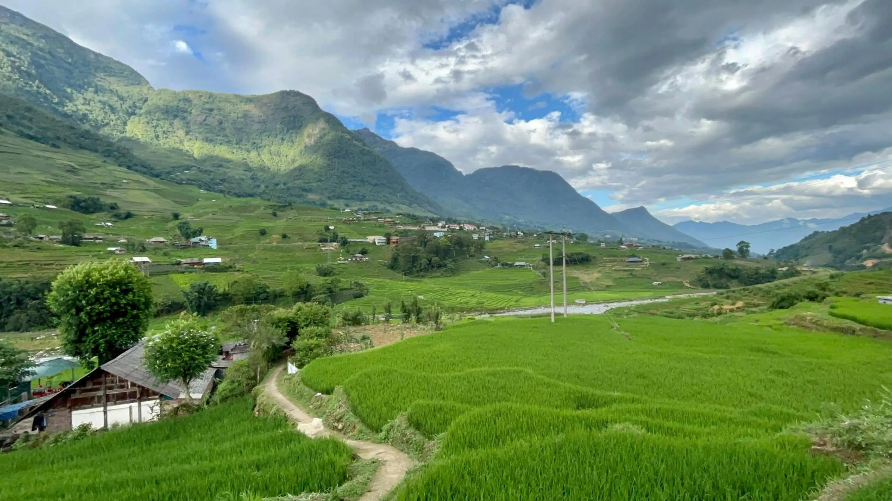 Natural landscape in S Plus Bungalow