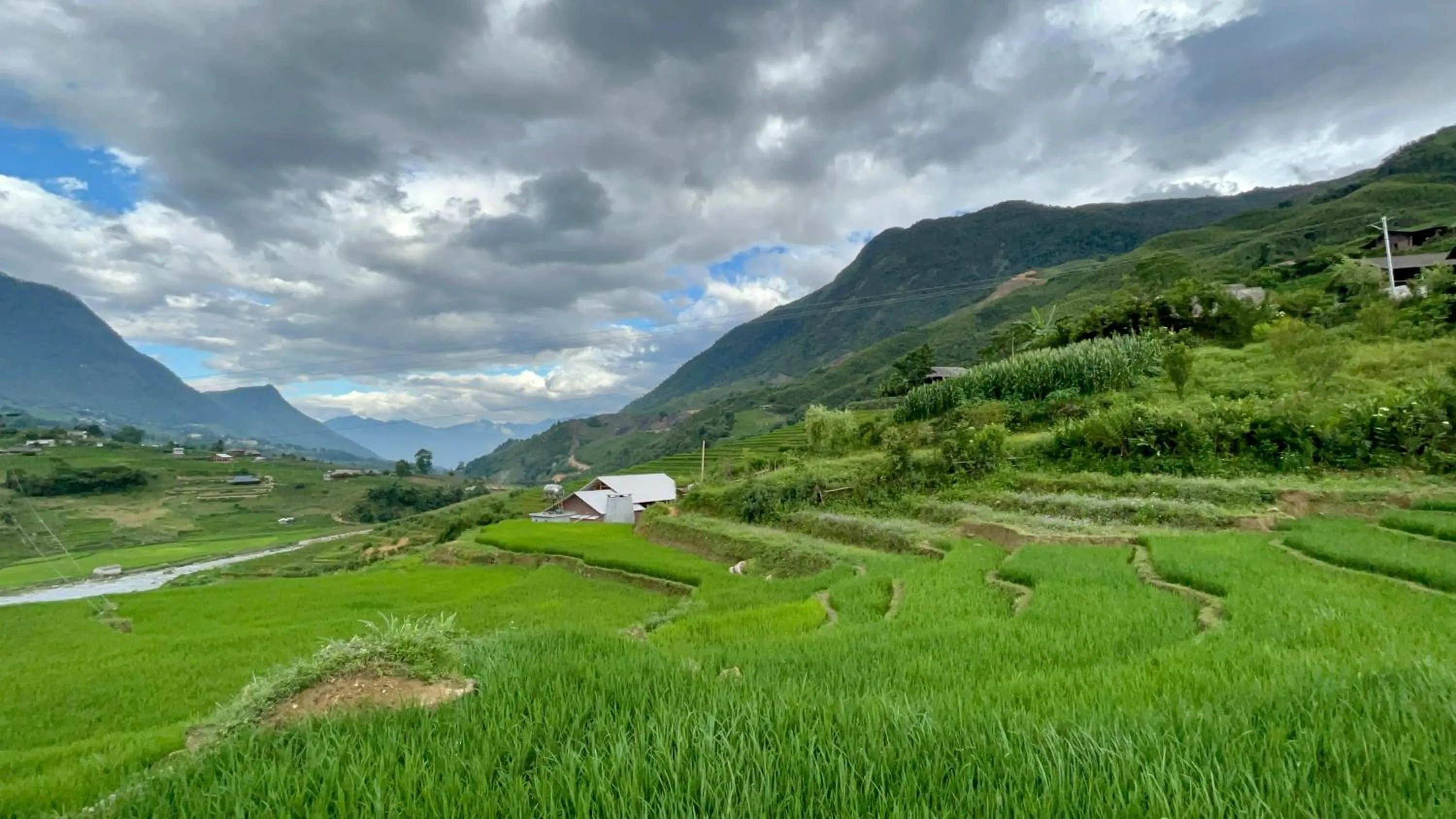 Natural landscape in S Plus Bungalow