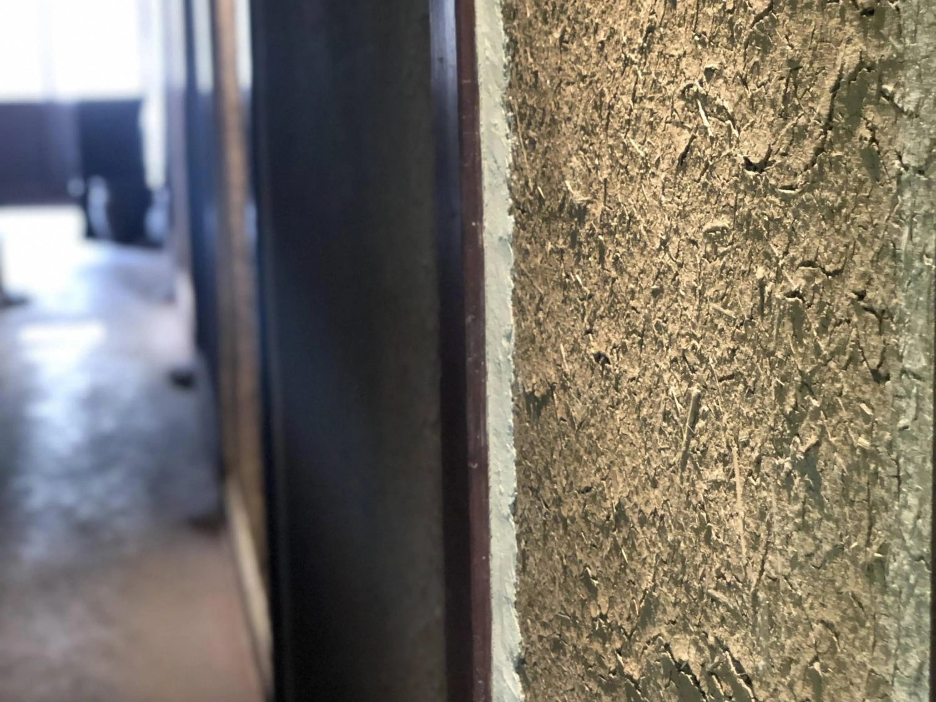 Other in RITA Yame Fukushima