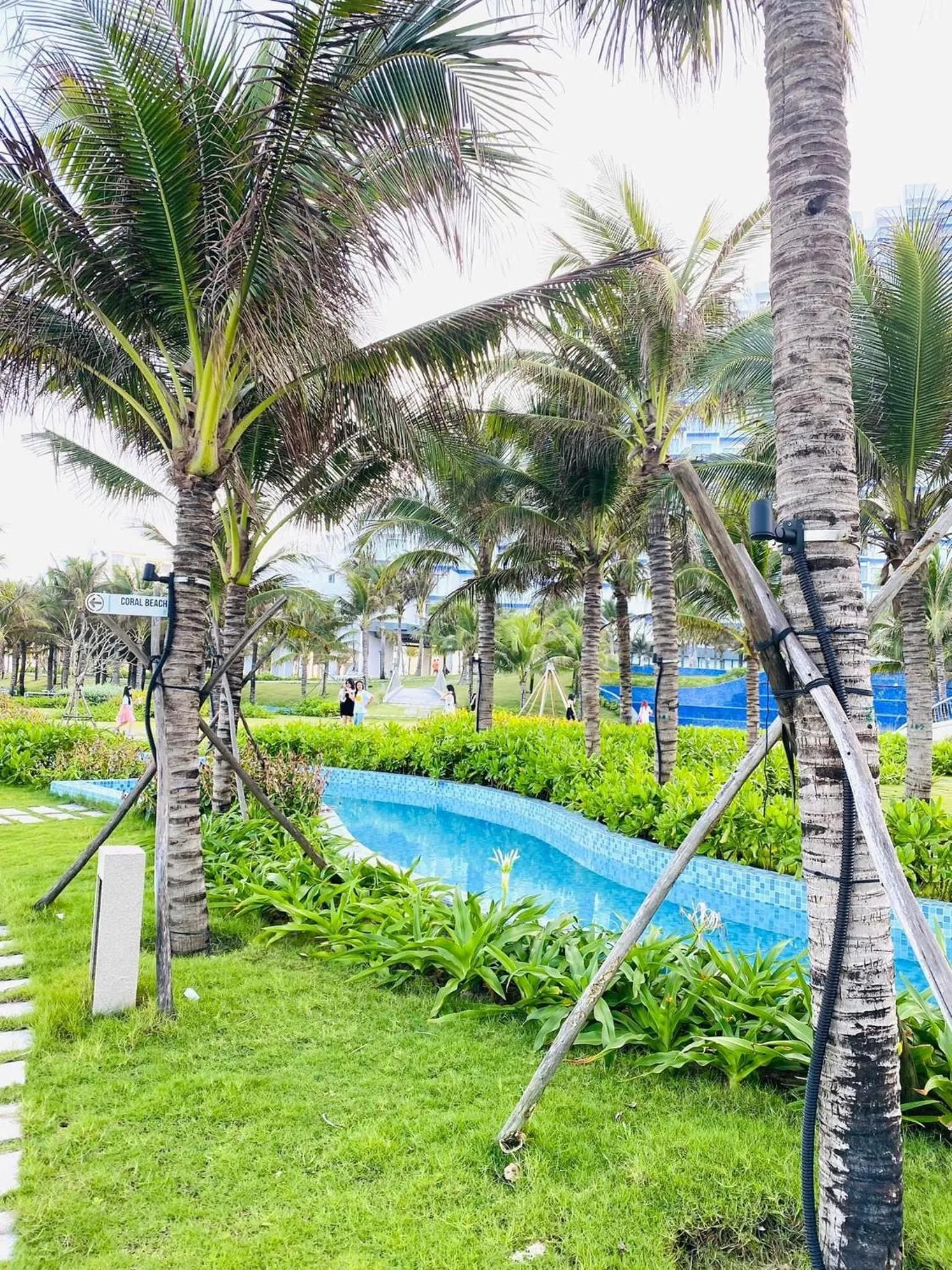 Natural landscape in Sea Moon Cam Ranh Beach House