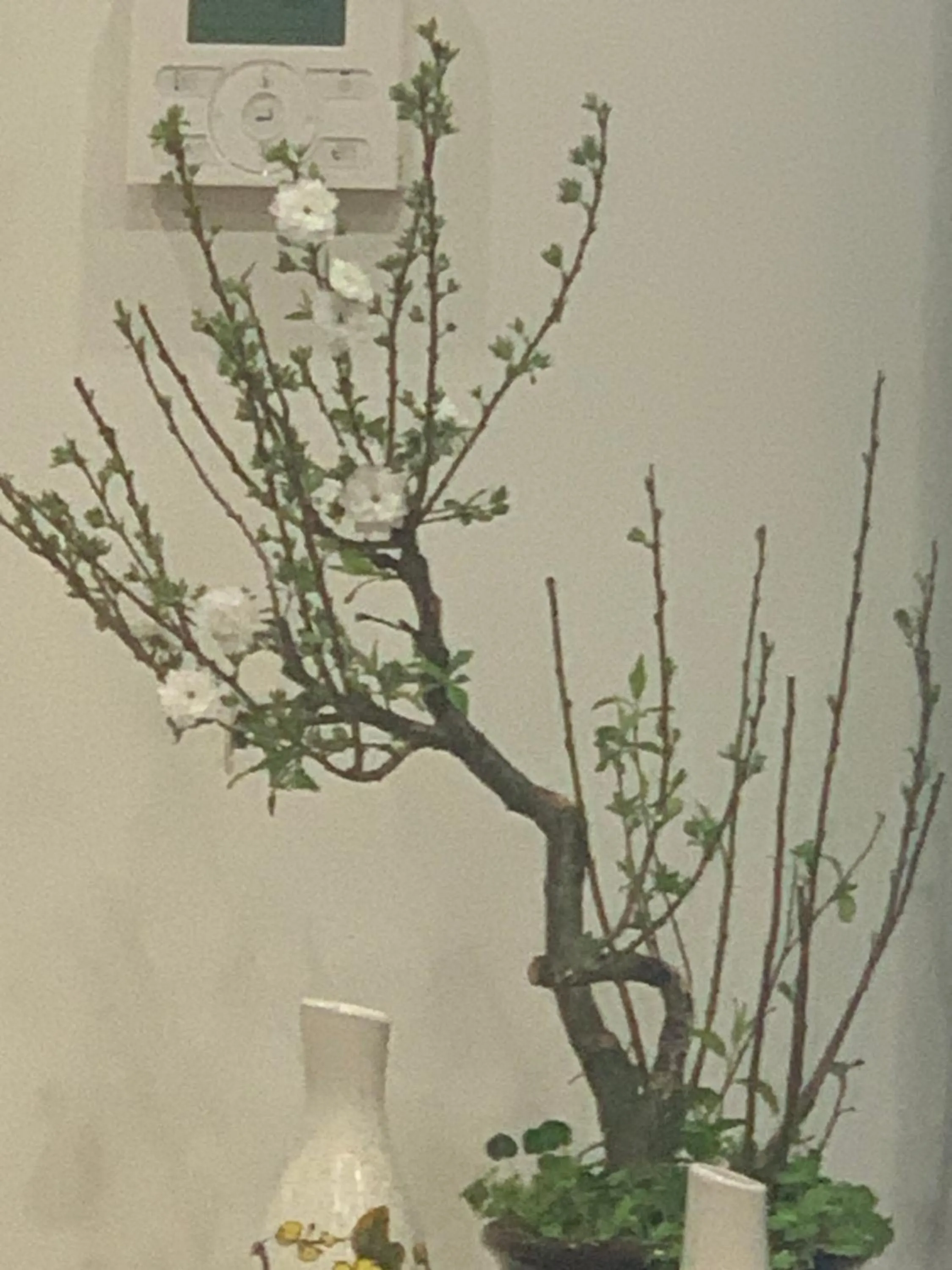 Decorative detail in Sea Moon Cam Ranh Beach House