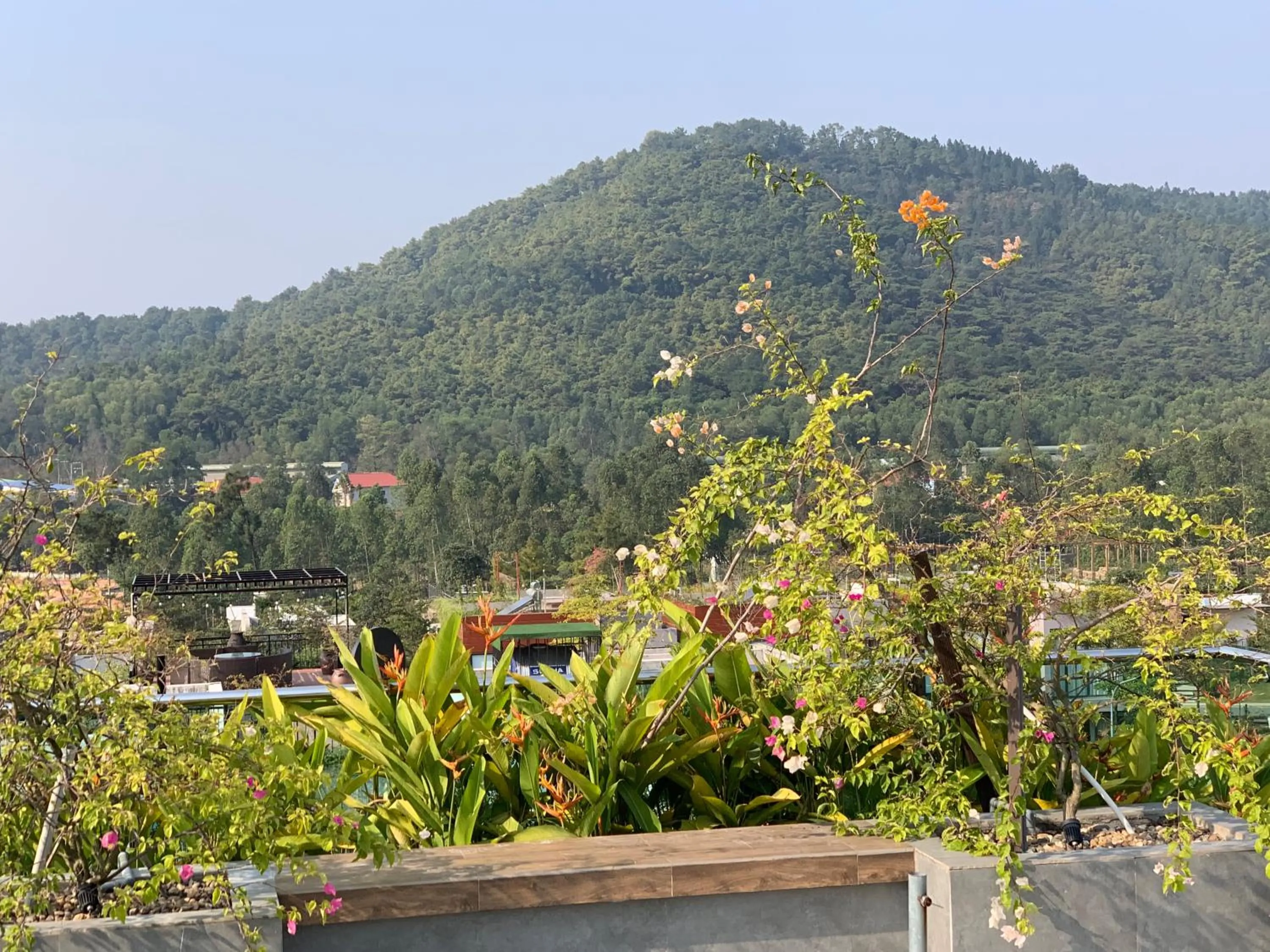 Day in Sea Moon Cam Ranh Beach House