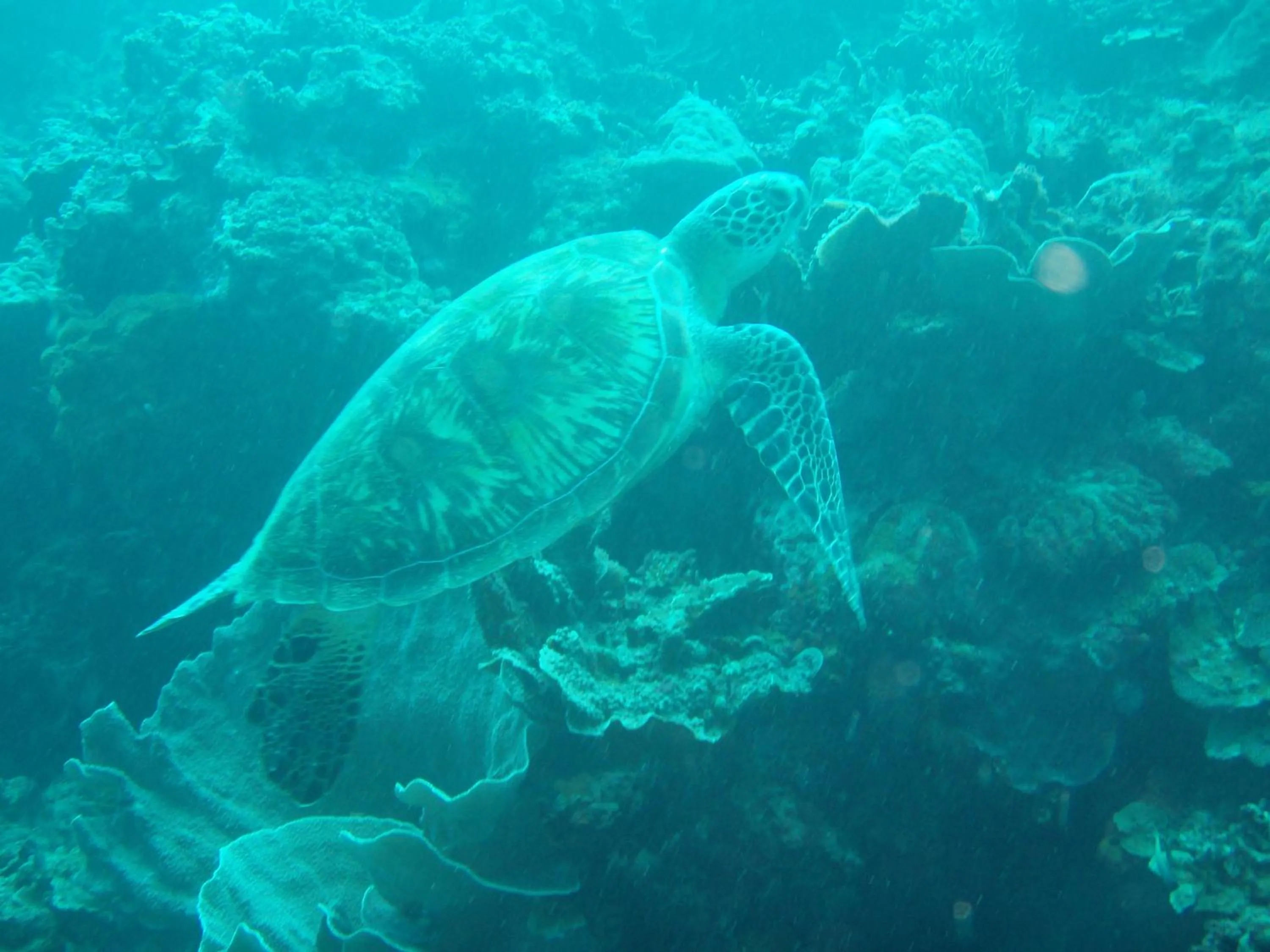 Activities in Lambug Beach Homestay