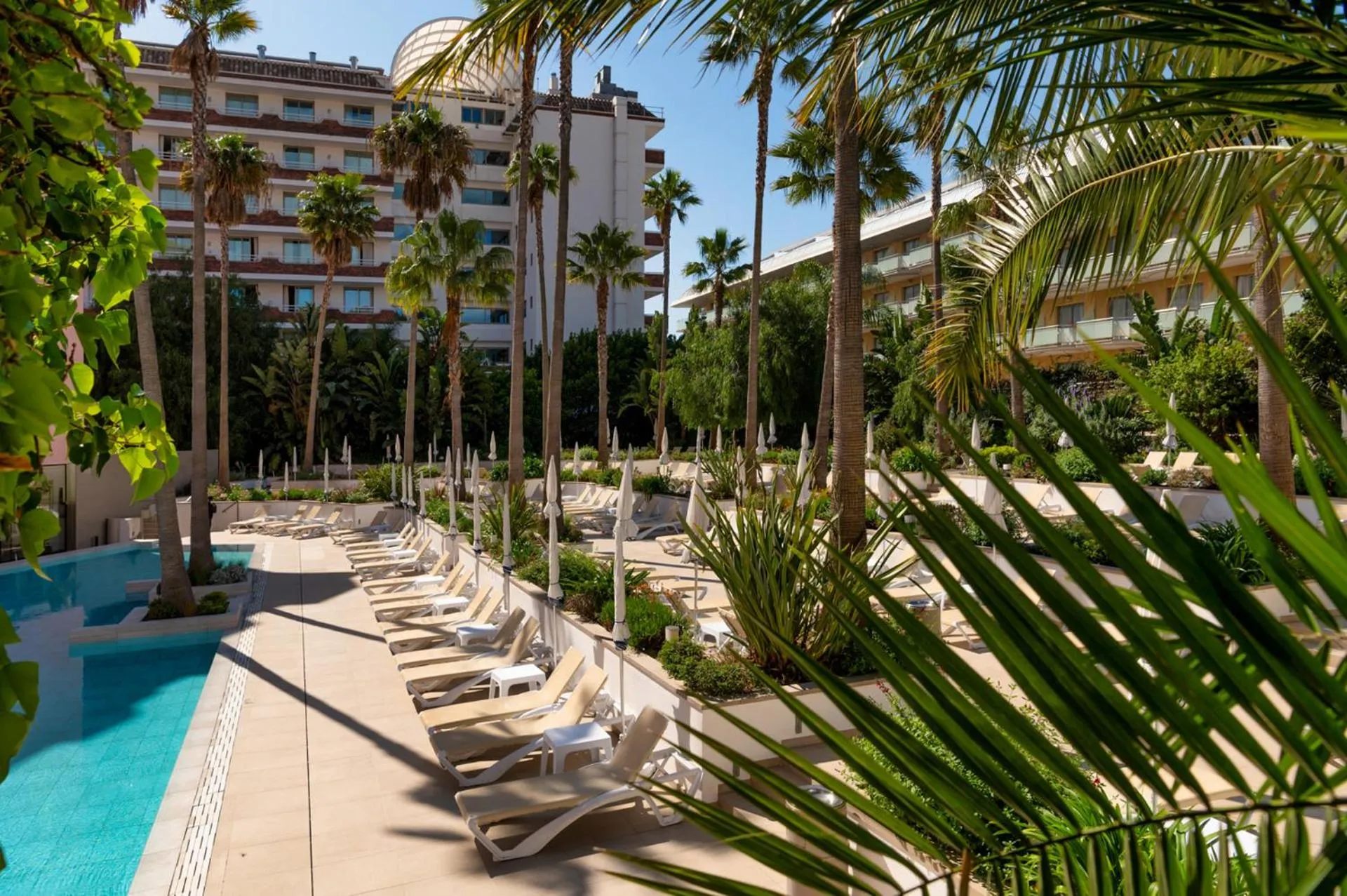 Garden in AQUA Hotel The Breeze & Spa - All Inclusive - Adults Only - 4Sup