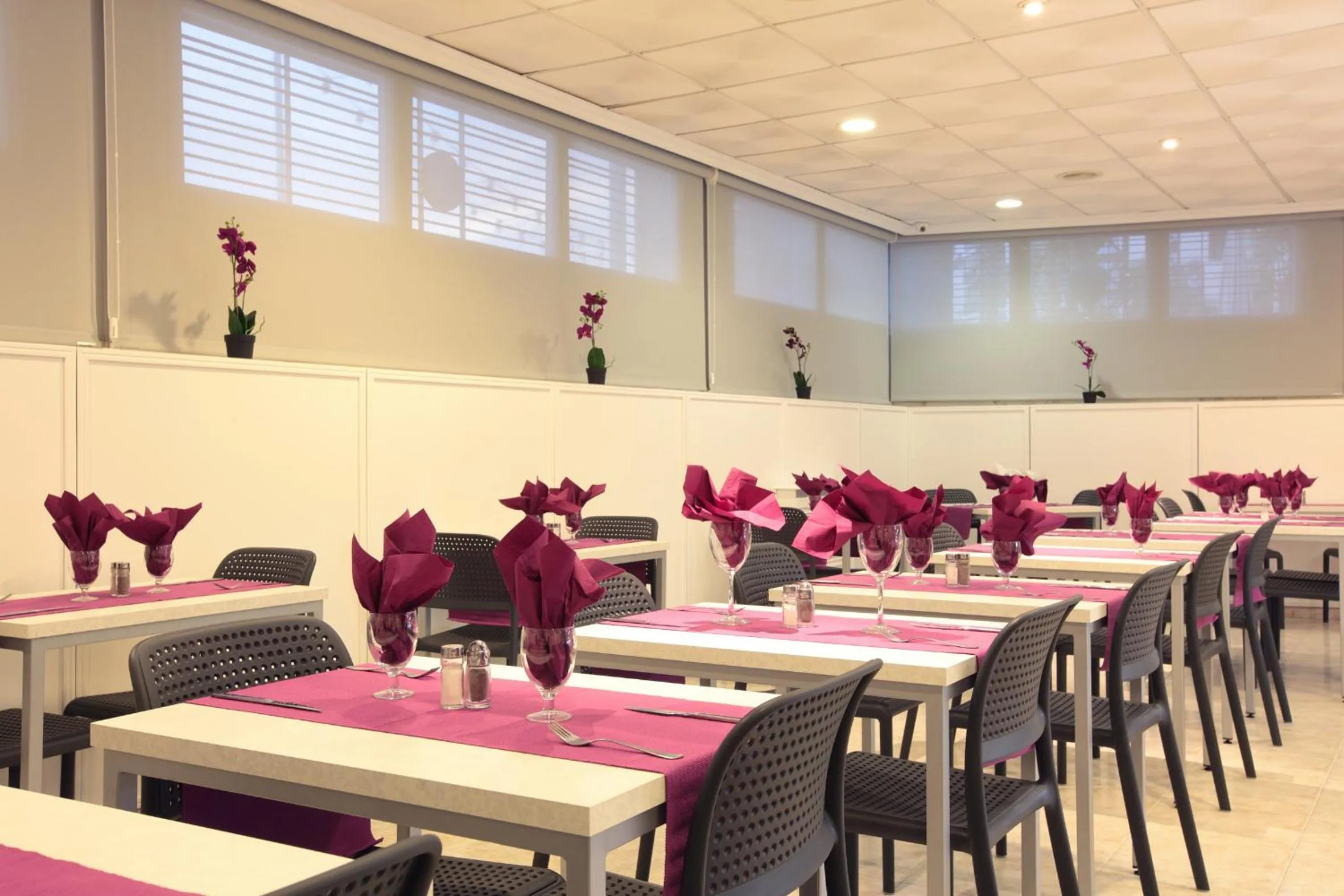 Restaurant/places to eat in Hotel Bilbaino