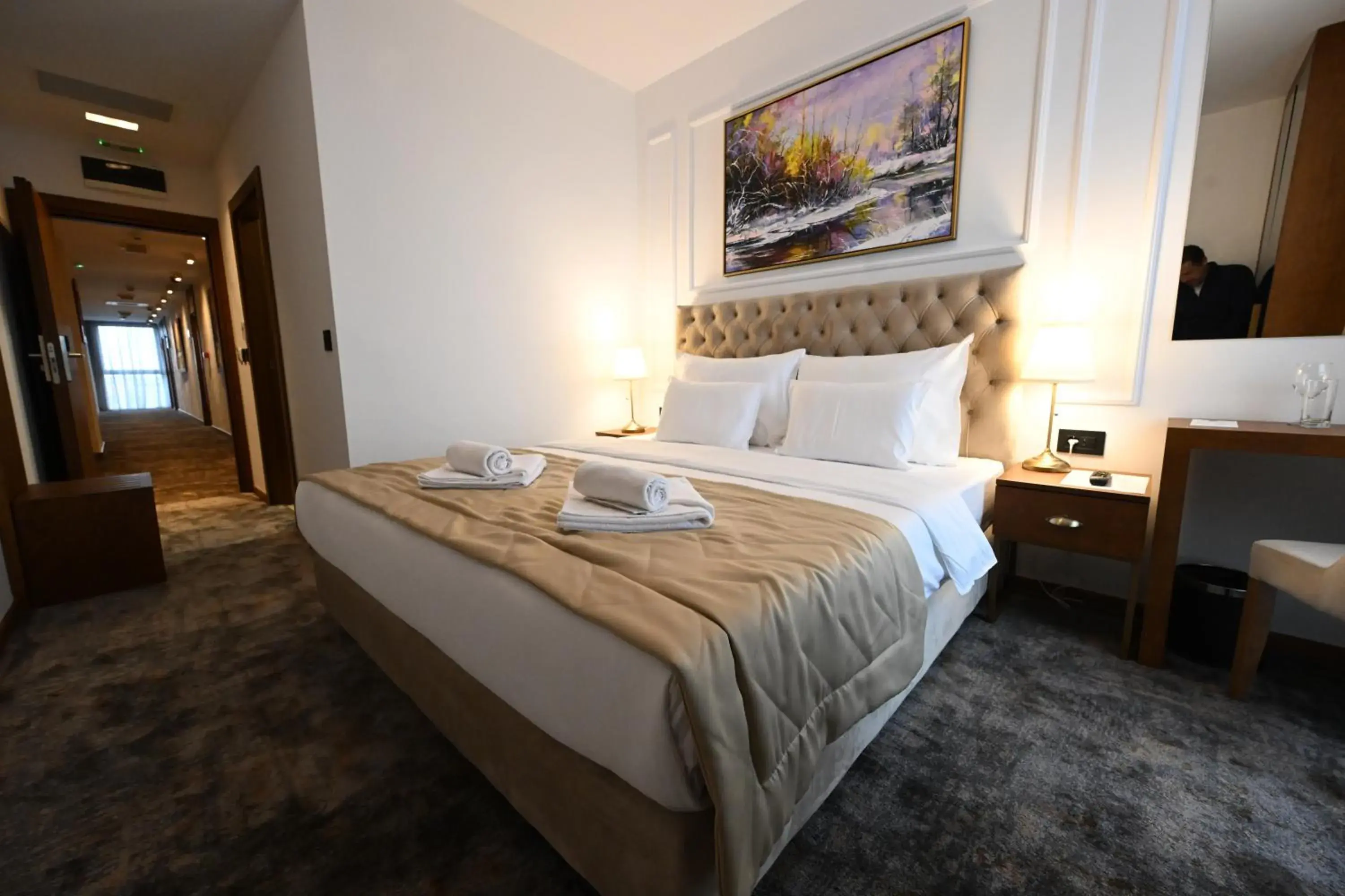 Standard Double or Twin Room in Hotel Tamiš & Spa Standard Double or Twin Room in Hotel Tamiš & Spa