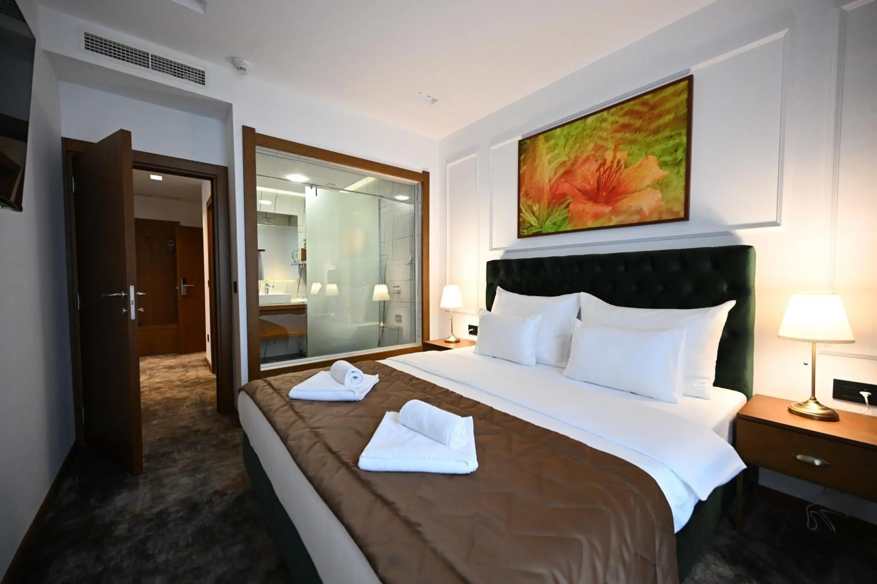 TV and multimedia, Bed in Hotel Tamiš & Spa TV and multimedia, Bed in Hotel Tamiš & Spa