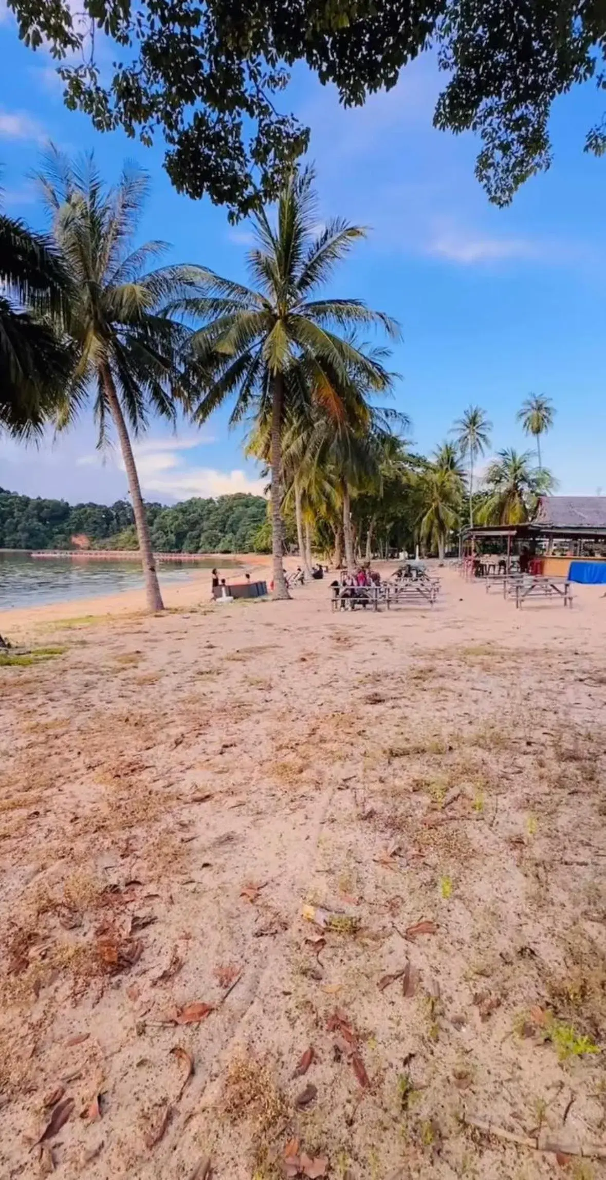 Beach in REOTEL at THE NOVE - NUVASA BAY Serviced Apartment Beach in REOTEL at THE NOVE - NUVASA BAY Serviced Apartment