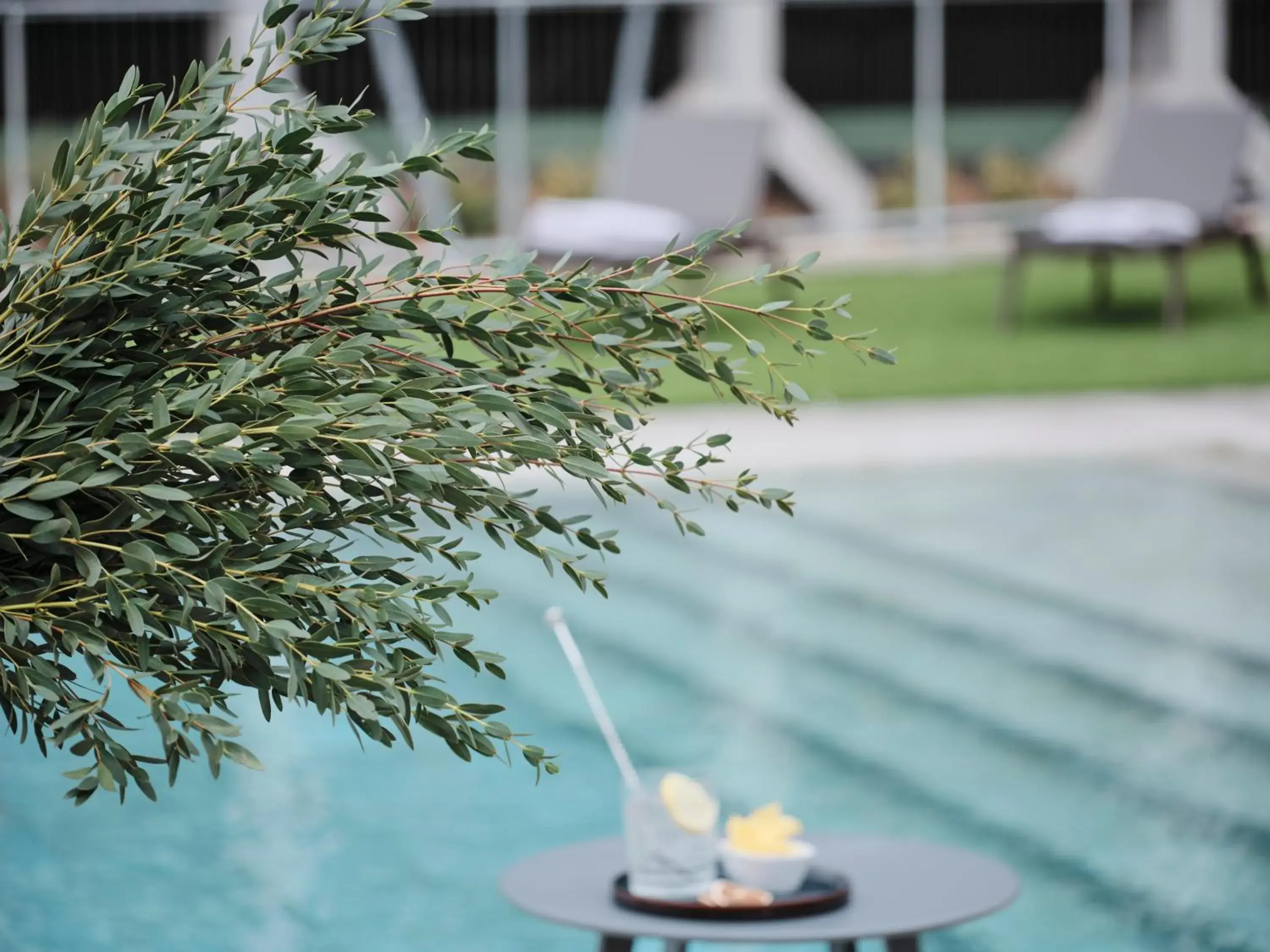 Swimming pool in Qgat Restaurant Events & Hotel Swimming pool in Qgat Restaurant Events & Hotel