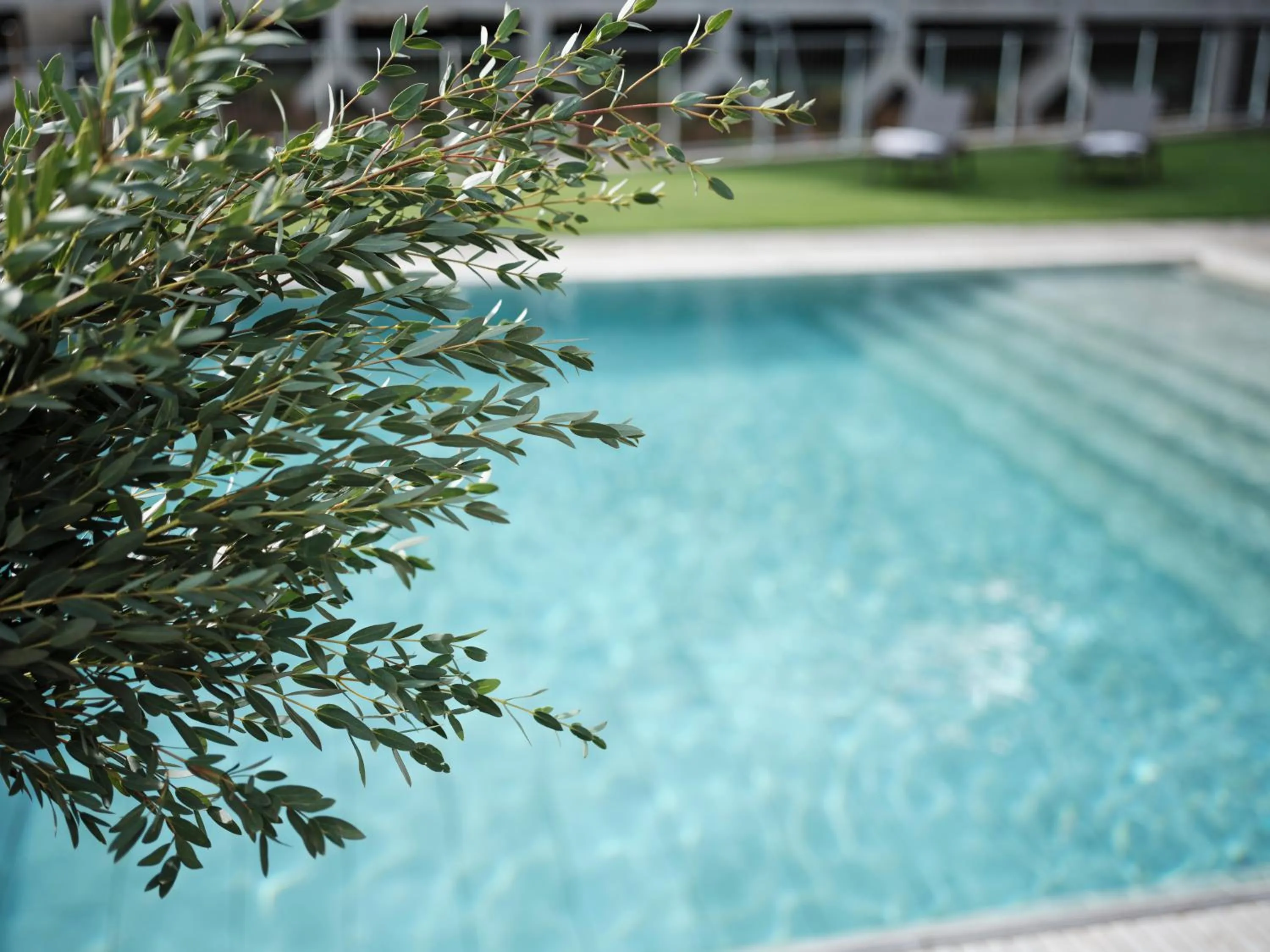 Swimming pool in Qgat Restaurant Events & Hotel