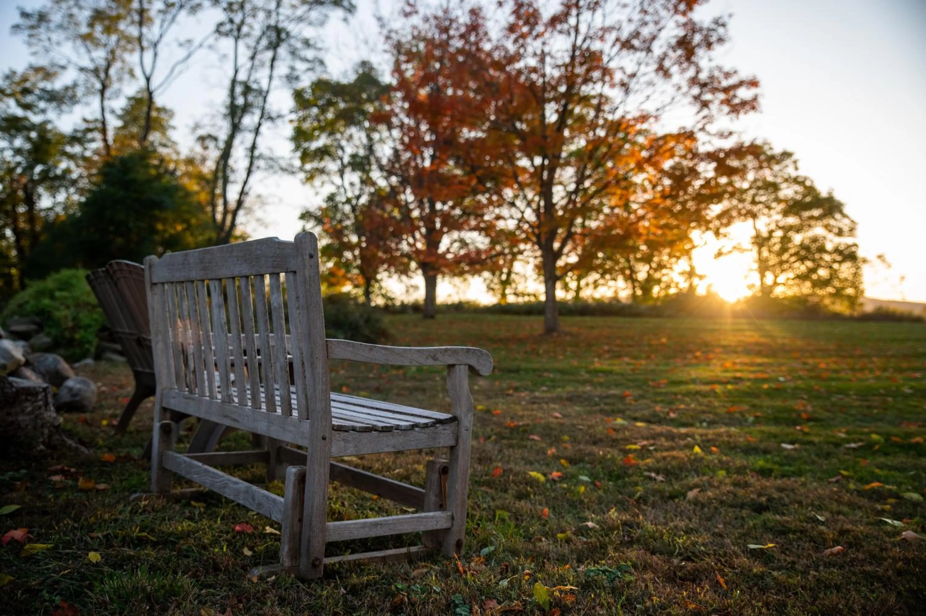 Natural landscape in Cromwell Manor Inn