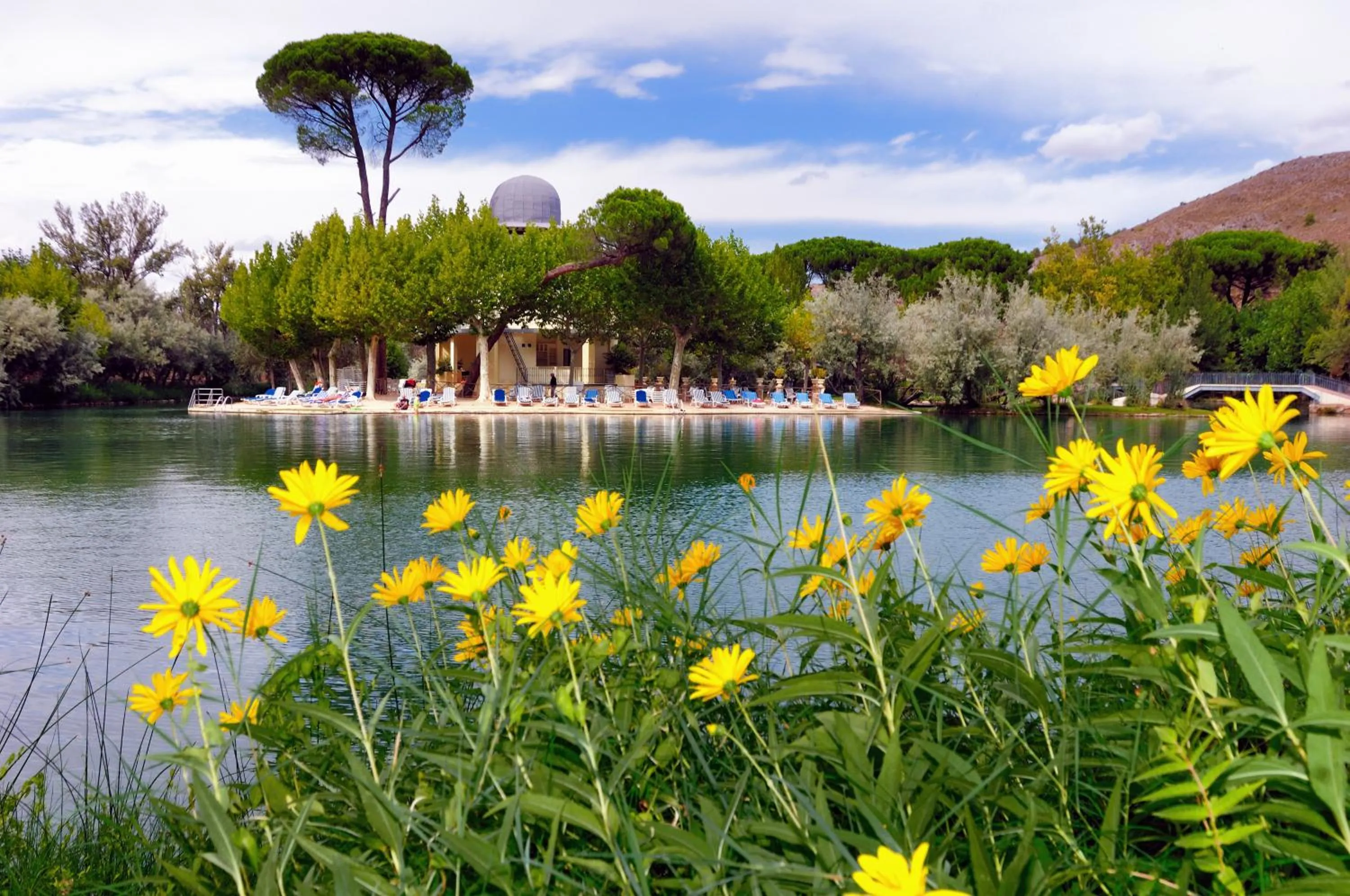 Garden in Hotel Parque Balneario Termas Pallares