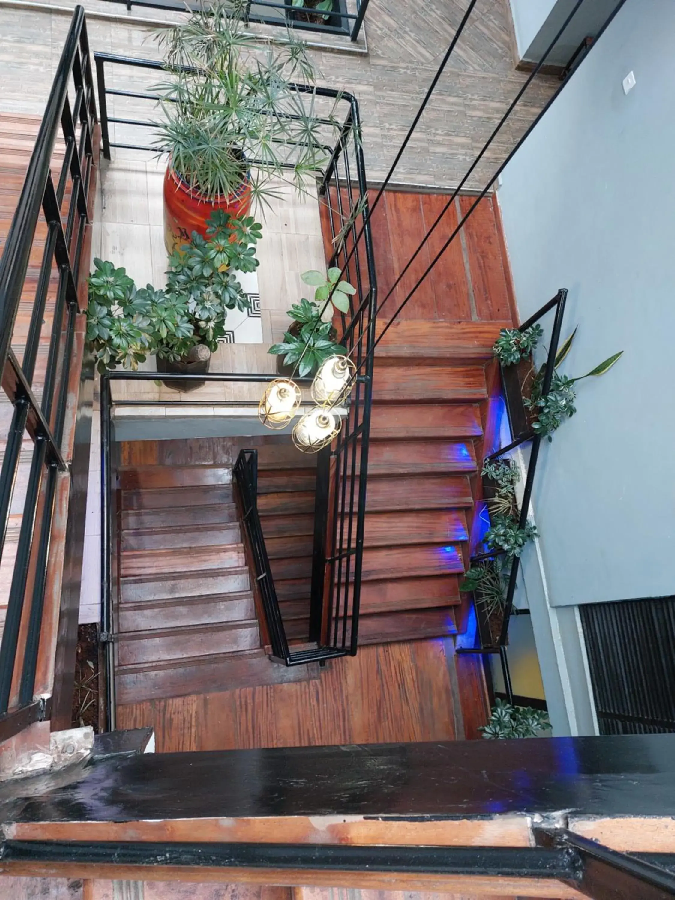 Budget Double Room in Toque Hotel Budget Double Room in Toque Hotel