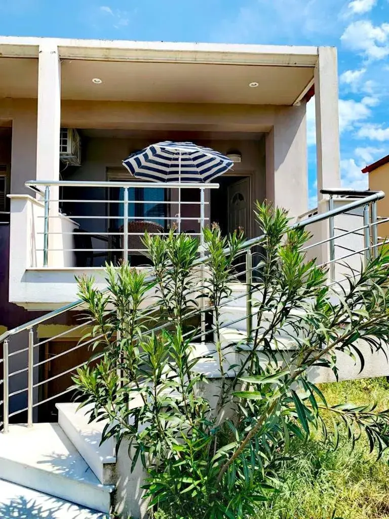 FREDDY'S PLACE FREDDY'S PLACE