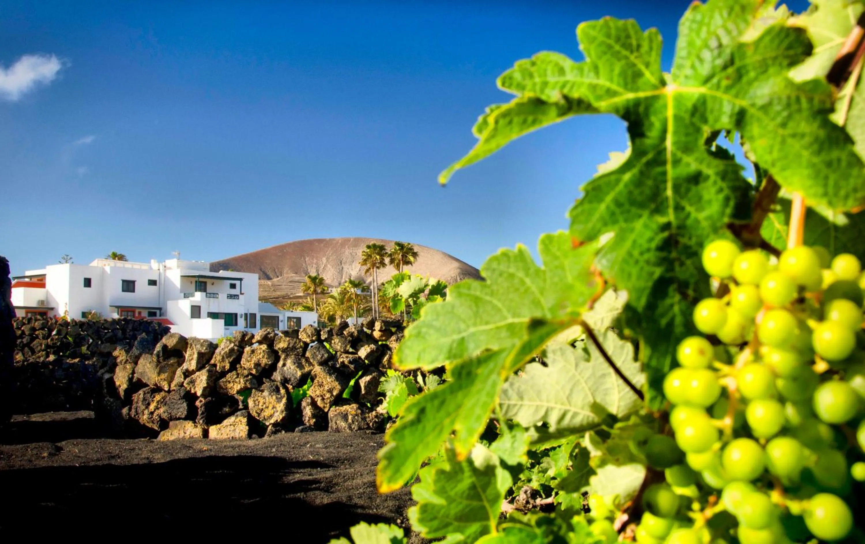 Area and facilities in Hotel Rural Finca de La Florida