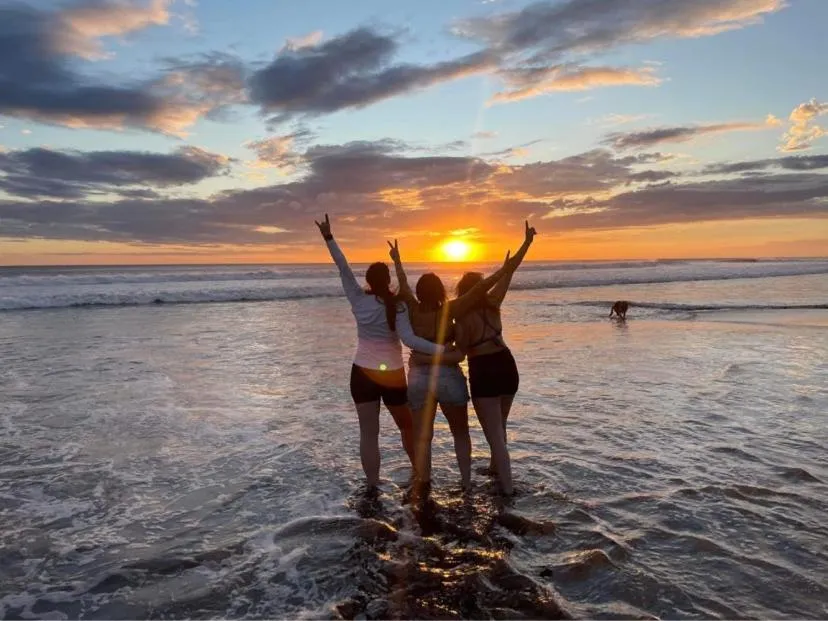 Beach in Hotel Kraken