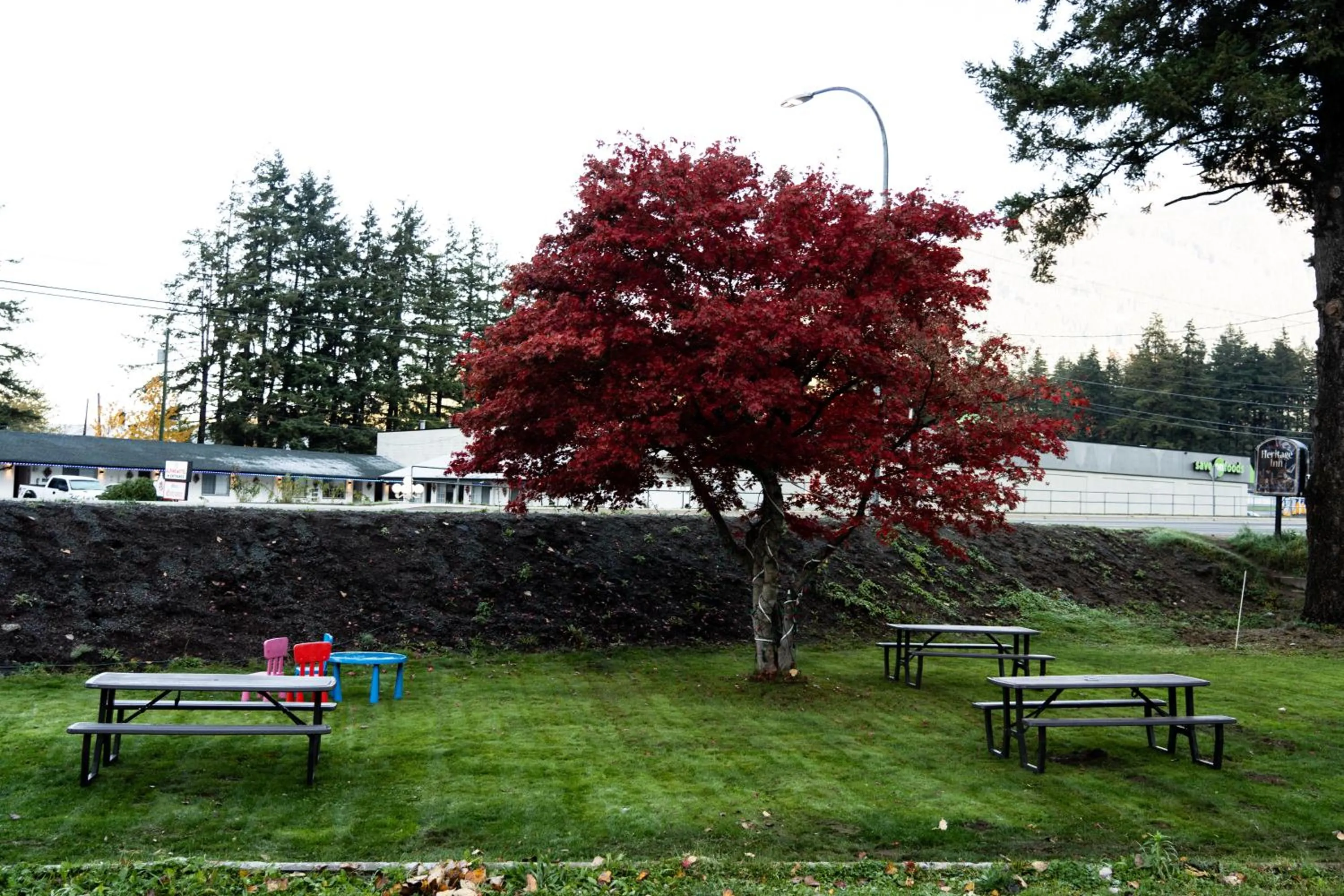 Natural landscape in Mountain View Hope Motel