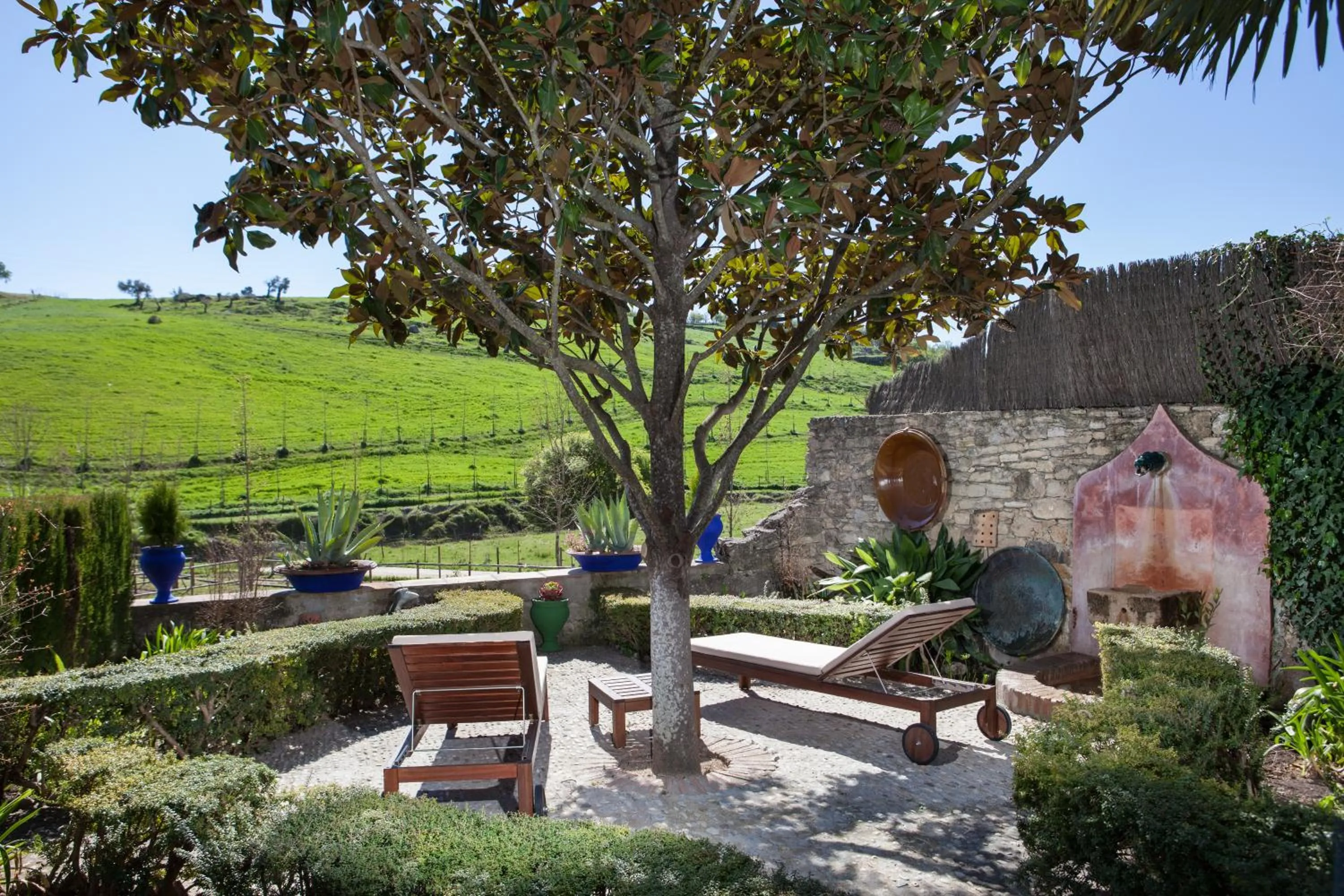 Garden in Alavera de los Baños