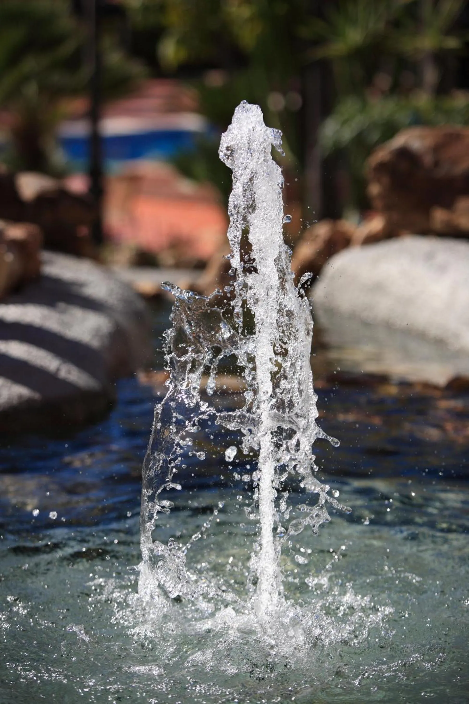 Other in Vasari Resort