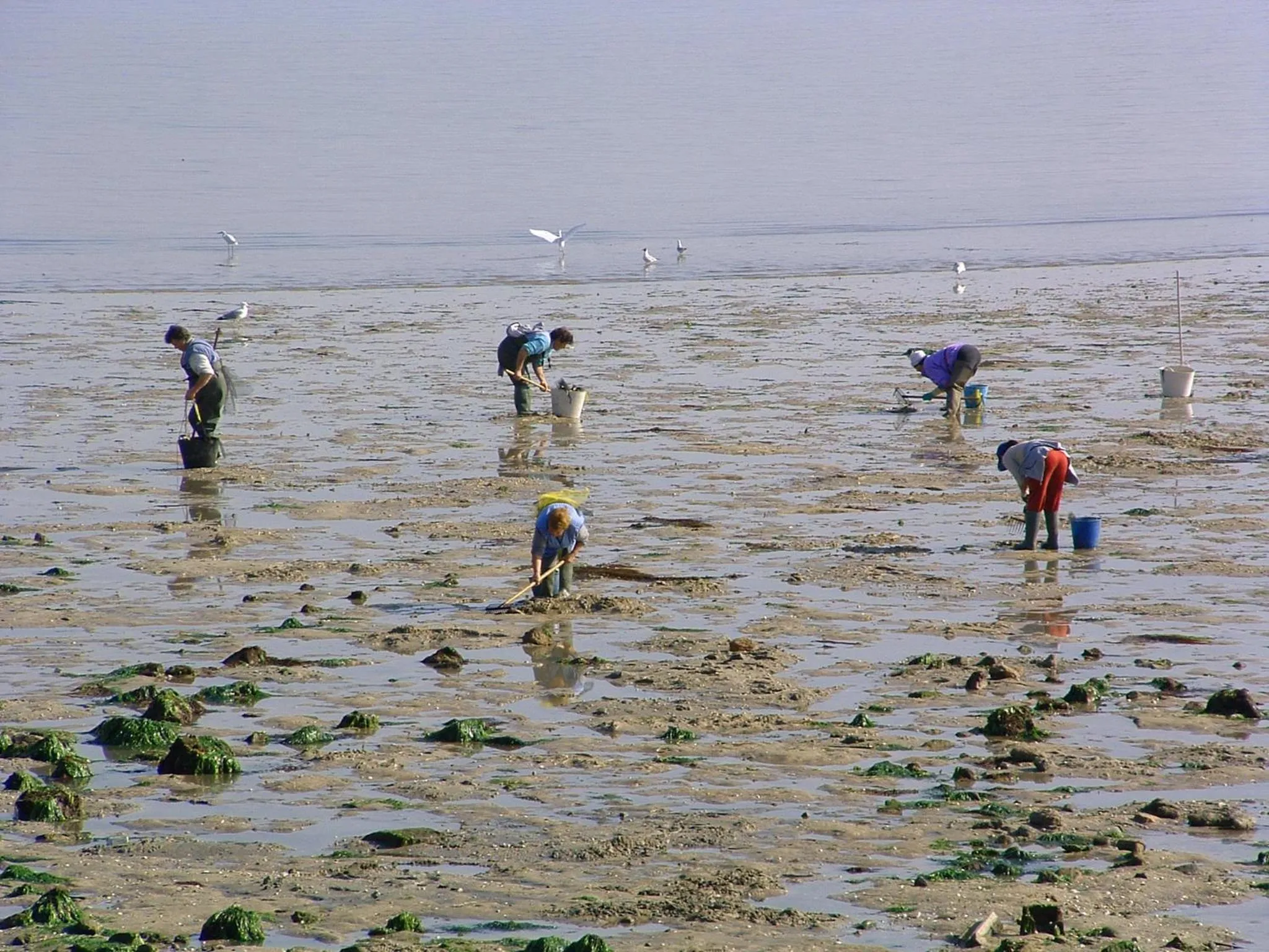 Other in Hotel Puente de La Toja
