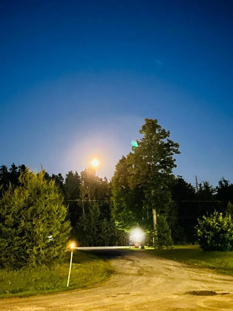 Natural landscape in Calabogie Motor Inn