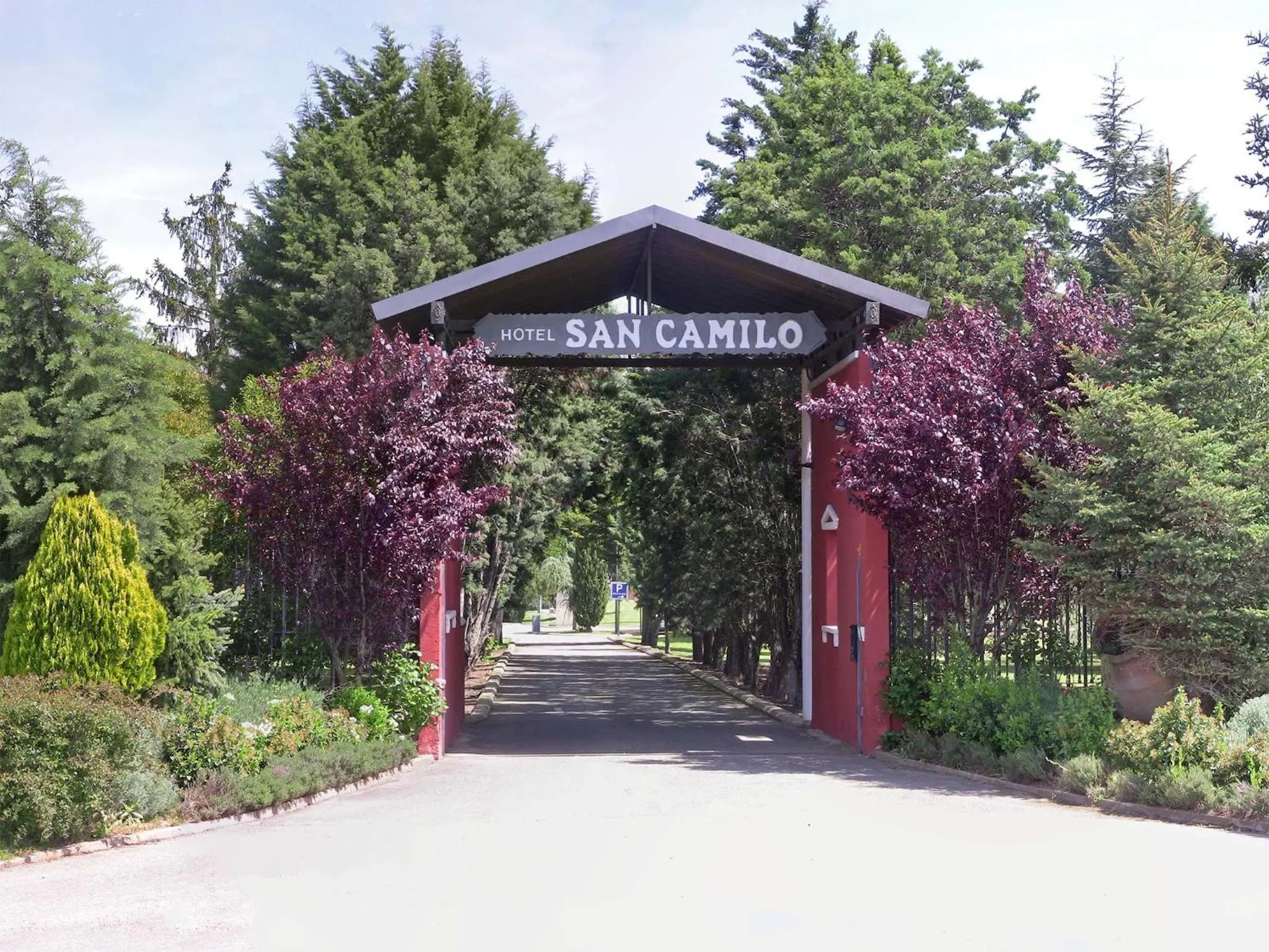 Garden in Hotel San Camilo