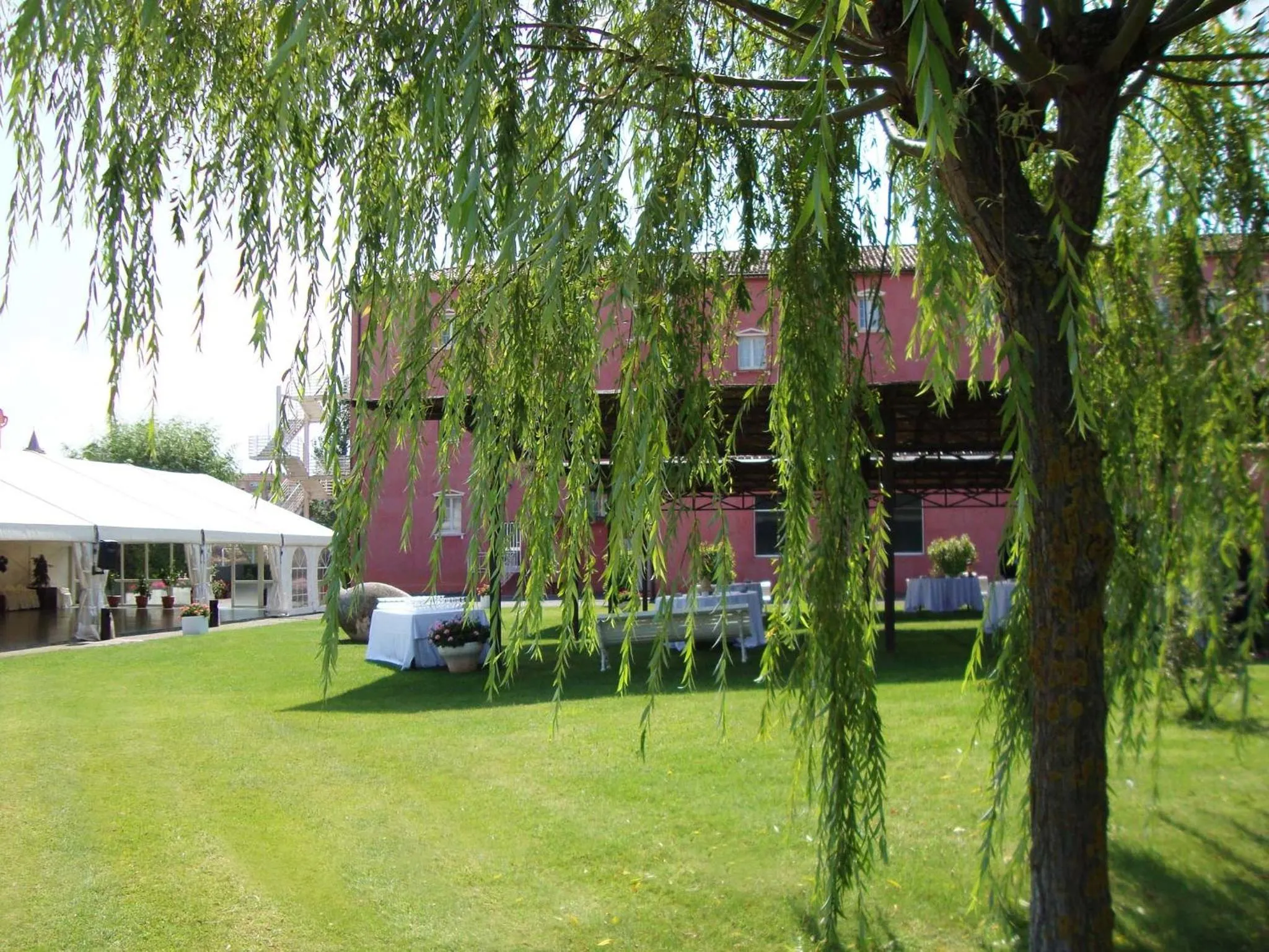 Garden in Hotel San Camilo