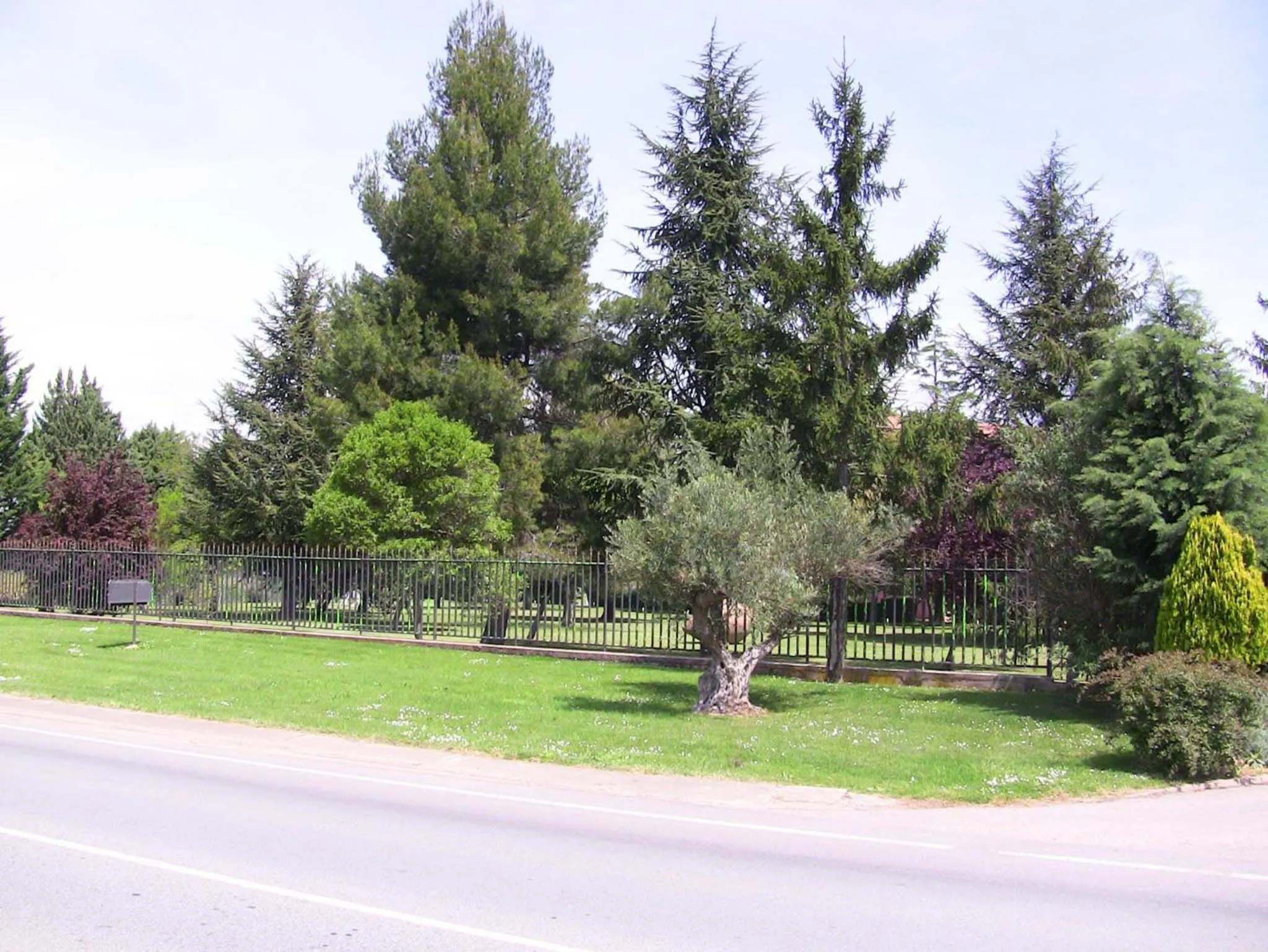 Off site in Hotel San Camilo