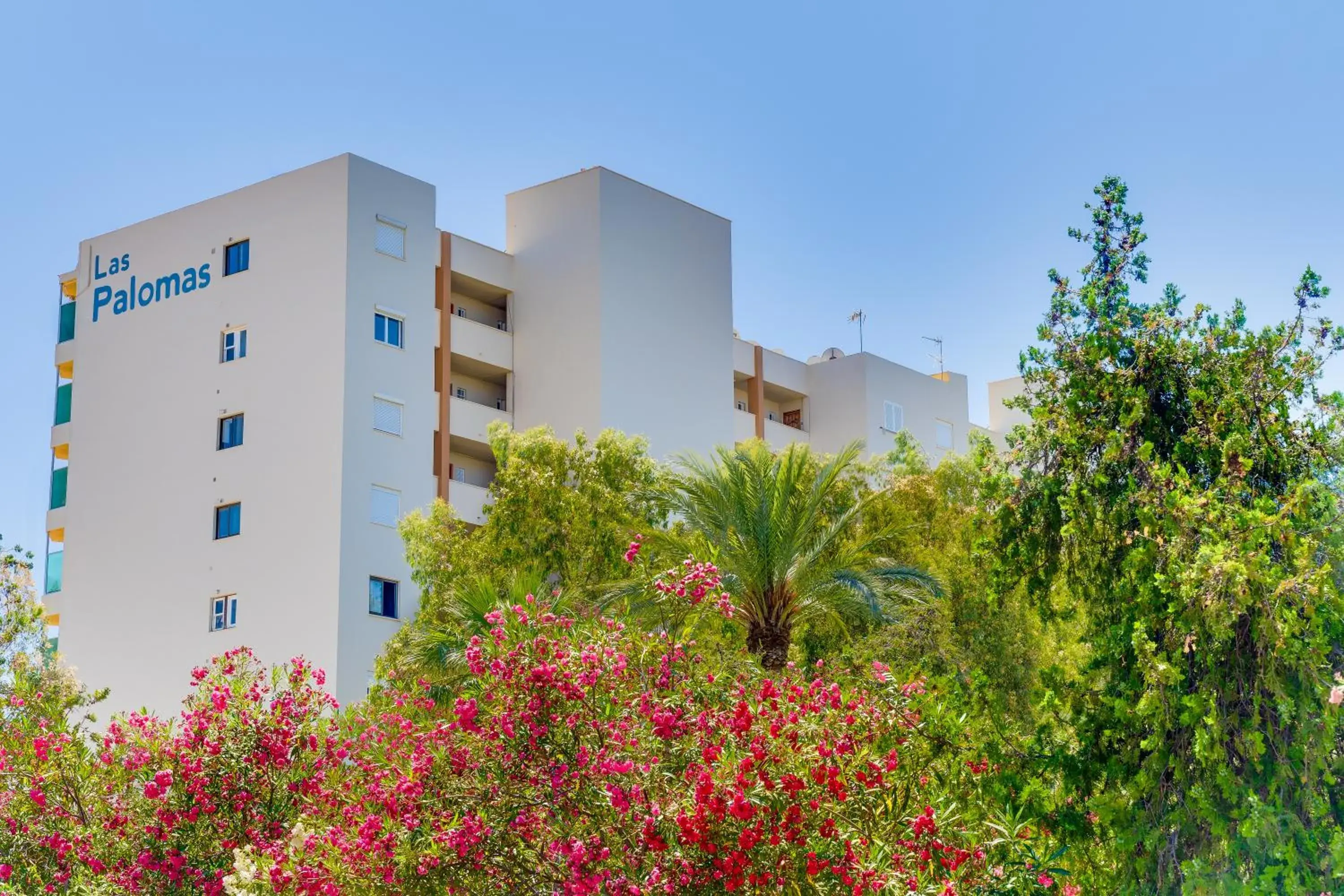 Property building in Las Palomas Apartments Econotels Property building in Las Palomas Apartments Econotels