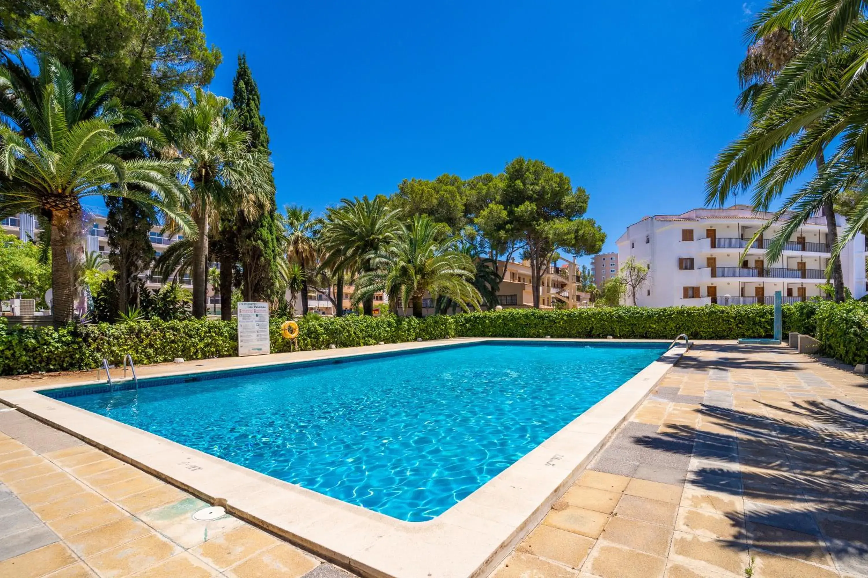 Swimming pool in Las Palomas Apartments Econotels Swimming pool in Las Palomas Apartments Econotels