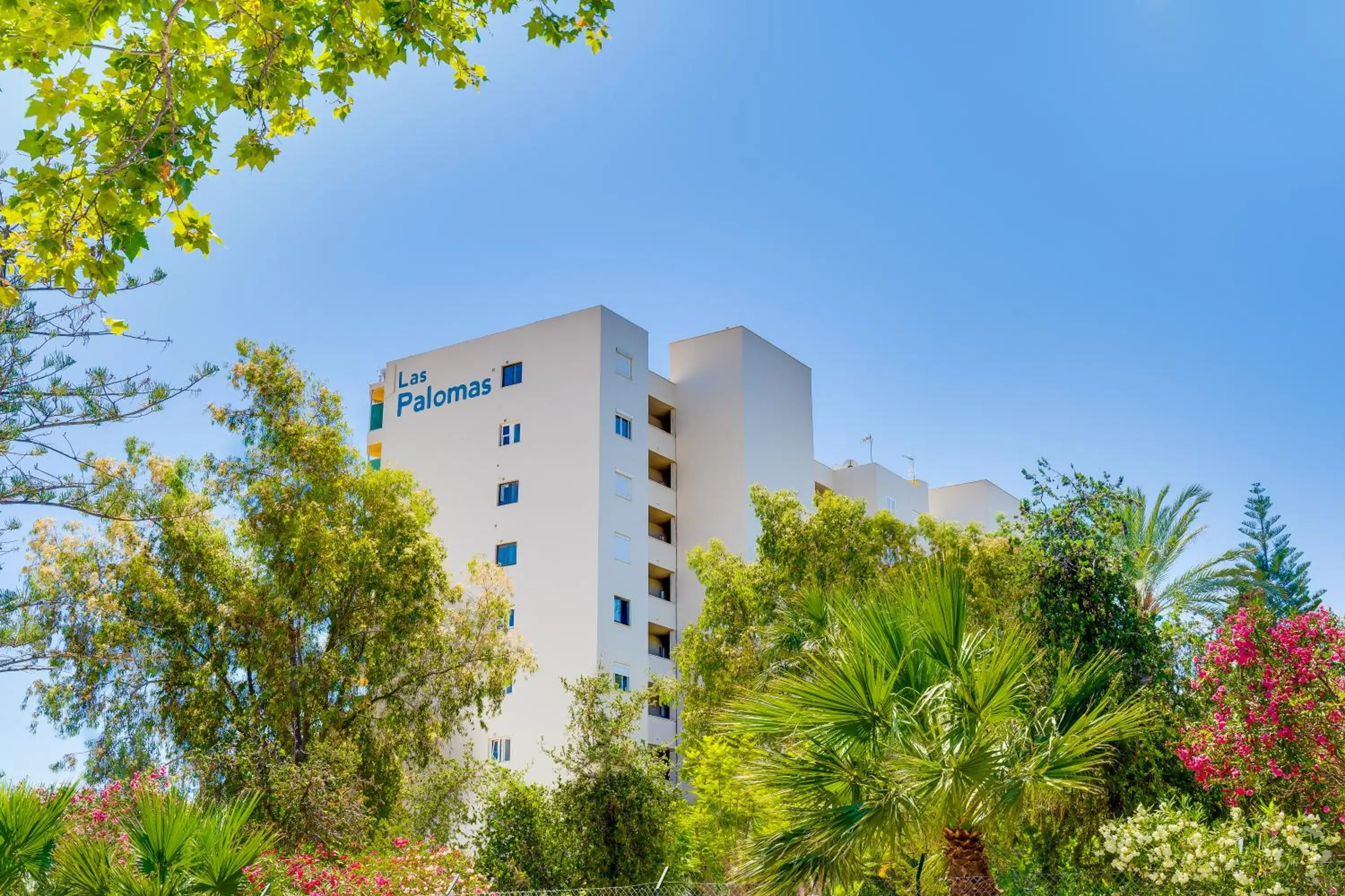 Property building in Las Palomas Apartments Econotels Property building in Las Palomas Apartments Econotels