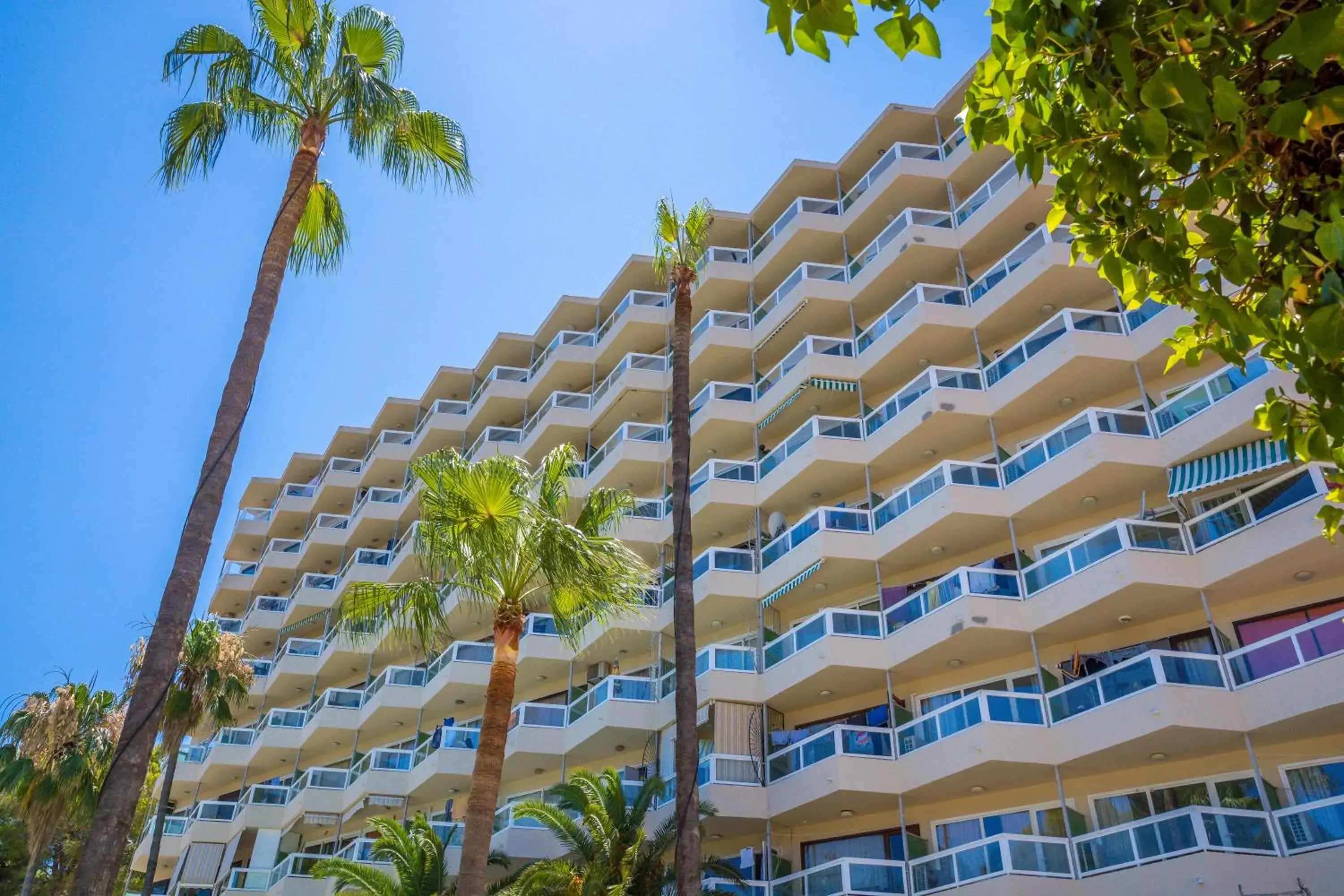Property building in Las Palomas Apartments Econotels Property building in Las Palomas Apartments Econotels