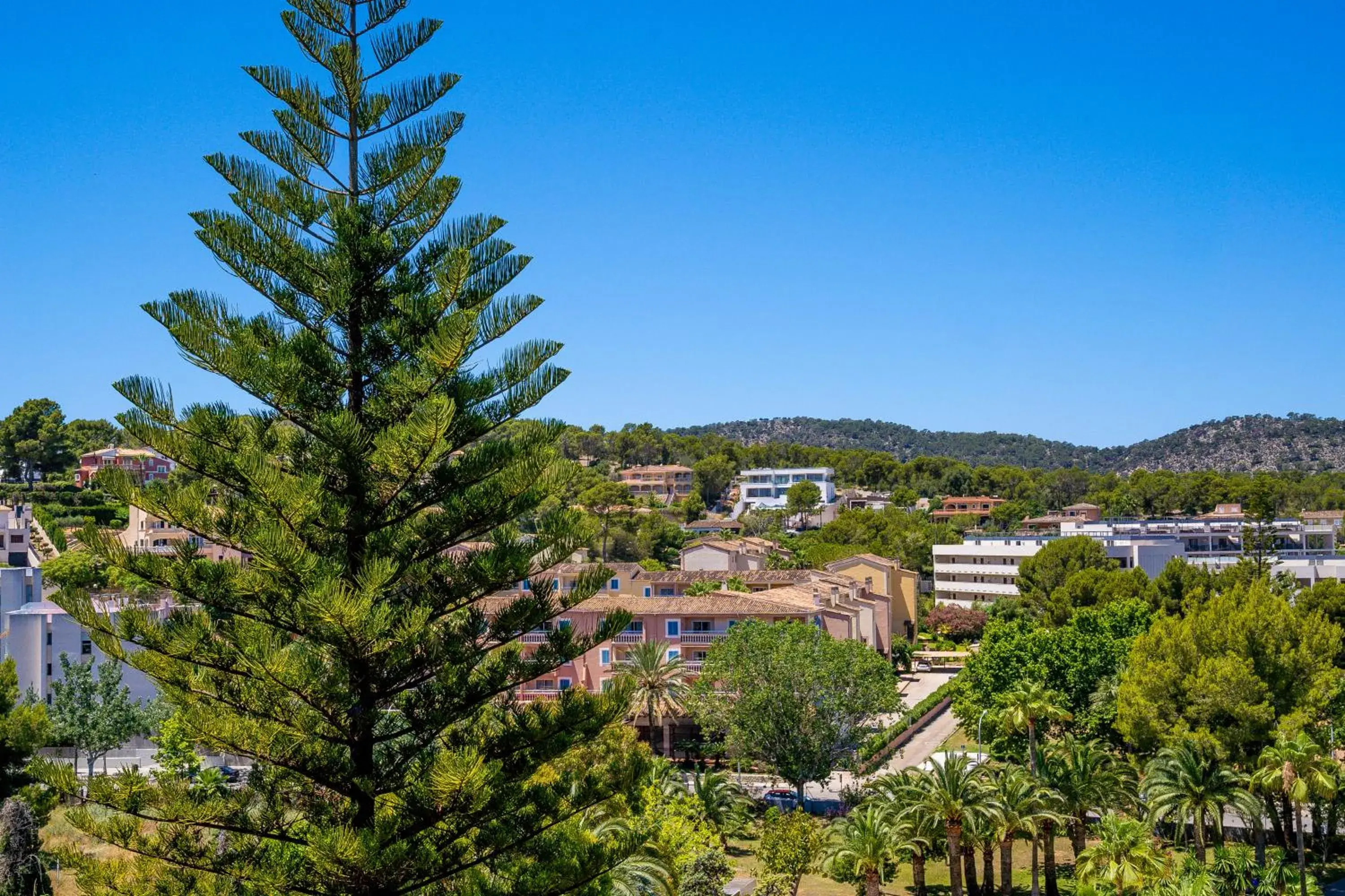 Property building in Las Palomas Apartments Econotels Property building in Las Palomas Apartments Econotels