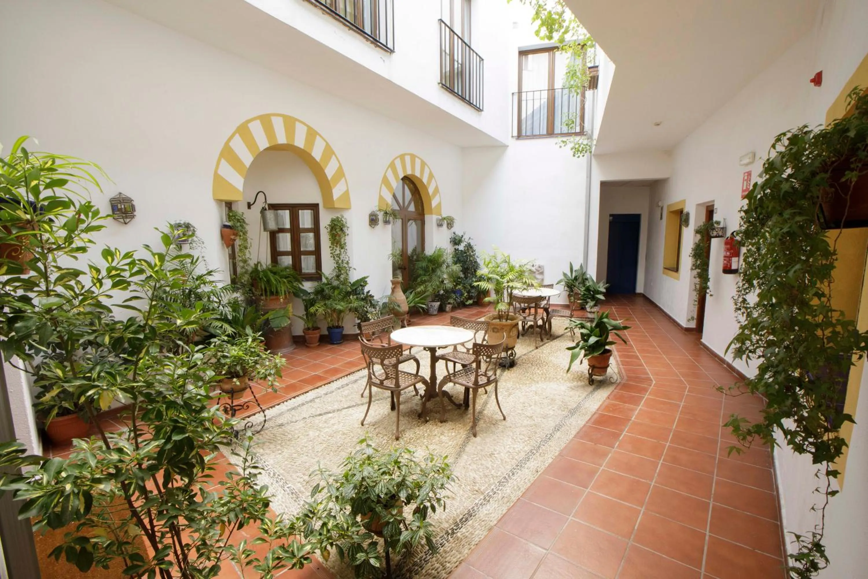 Patio in Hotel San Miguel